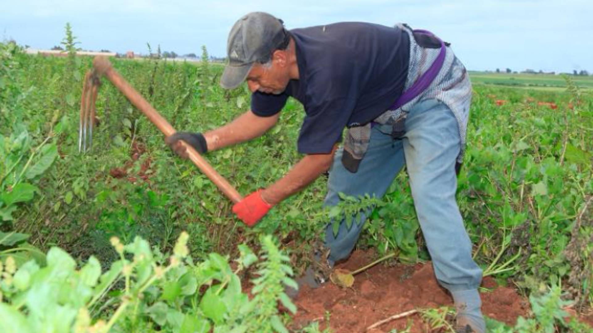 الصورة أرشيفية