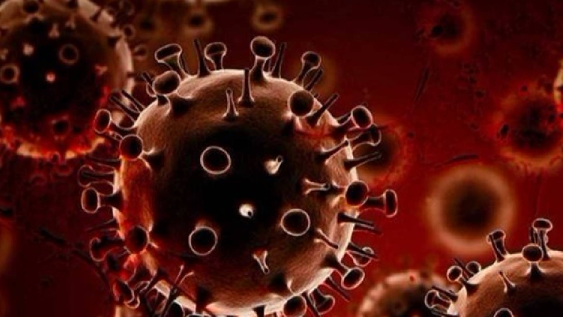 خلايا سرطانية (أرشيف)