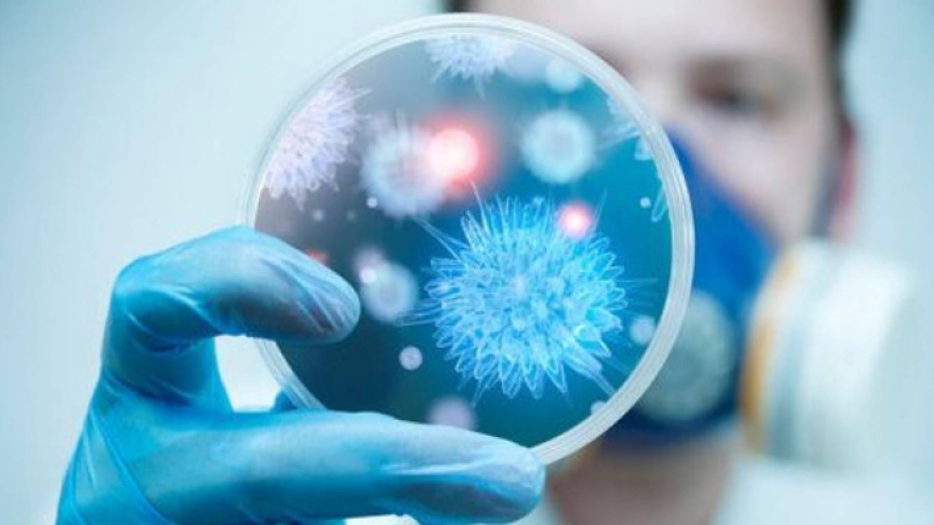 باحث في مختبر يعزل فيروس كورونا (أرشيف)