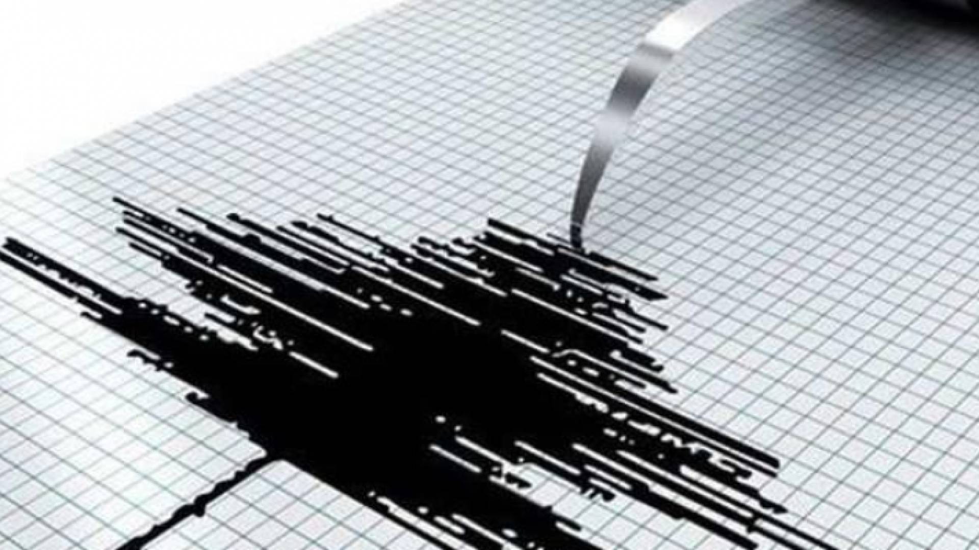 الصورة أرشيفية