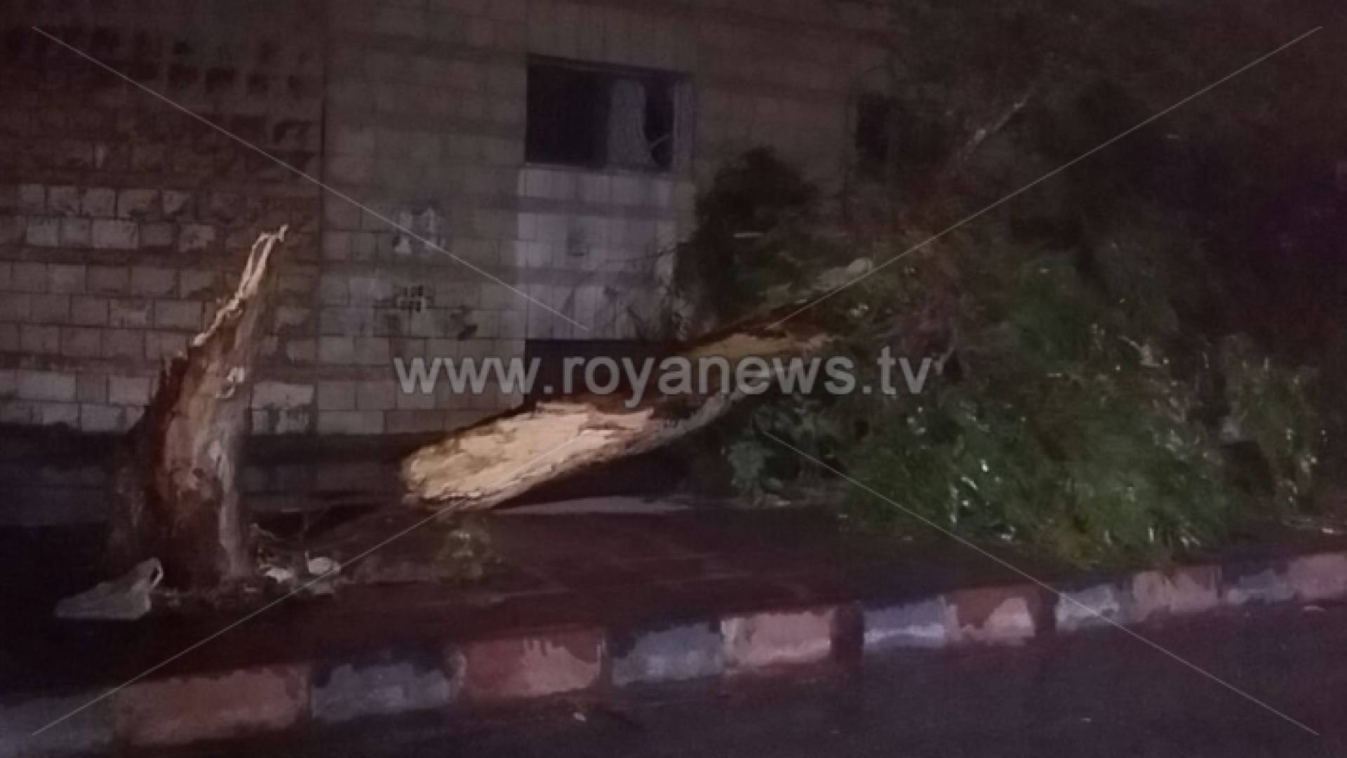 سقوط أشجار وأعمدة كهرباء