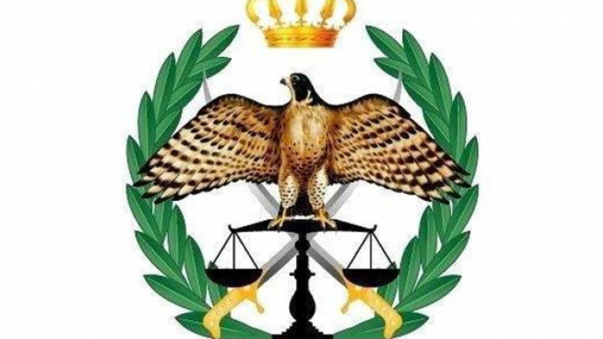 شعار مديرية الامن العام