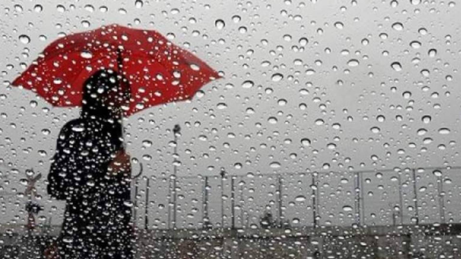 الصورة تعبيرية