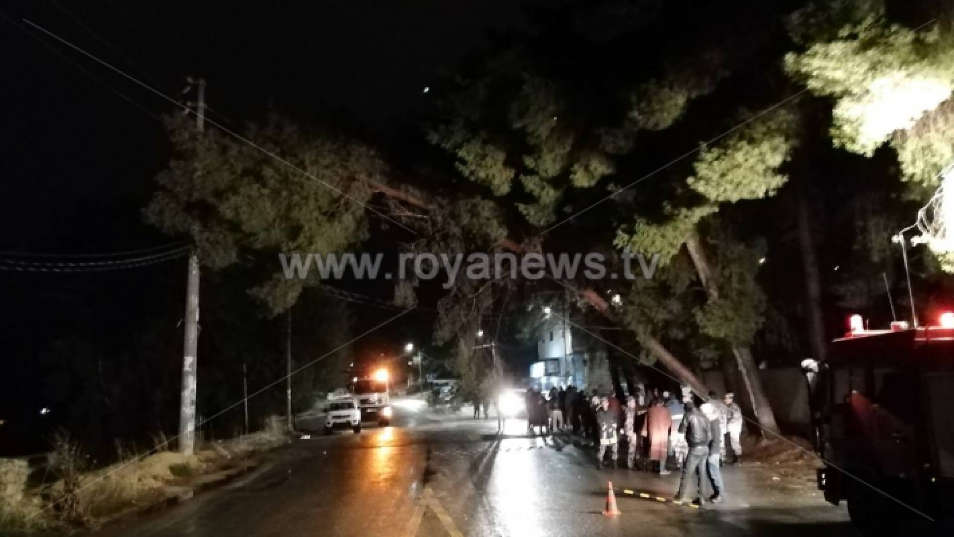 سقوط شجرة على عامود كهرباء بالطفيلة