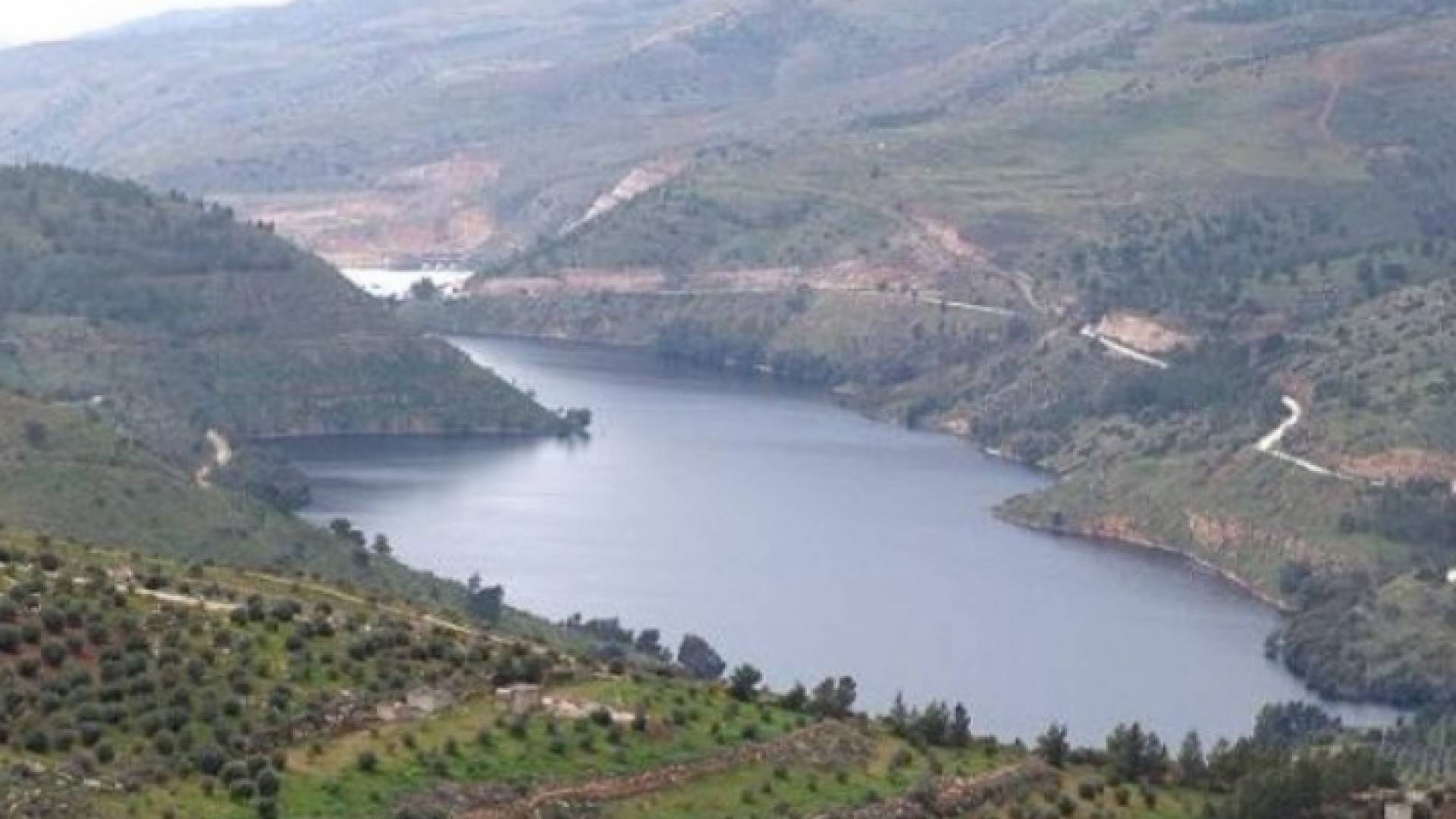 تعبيرية