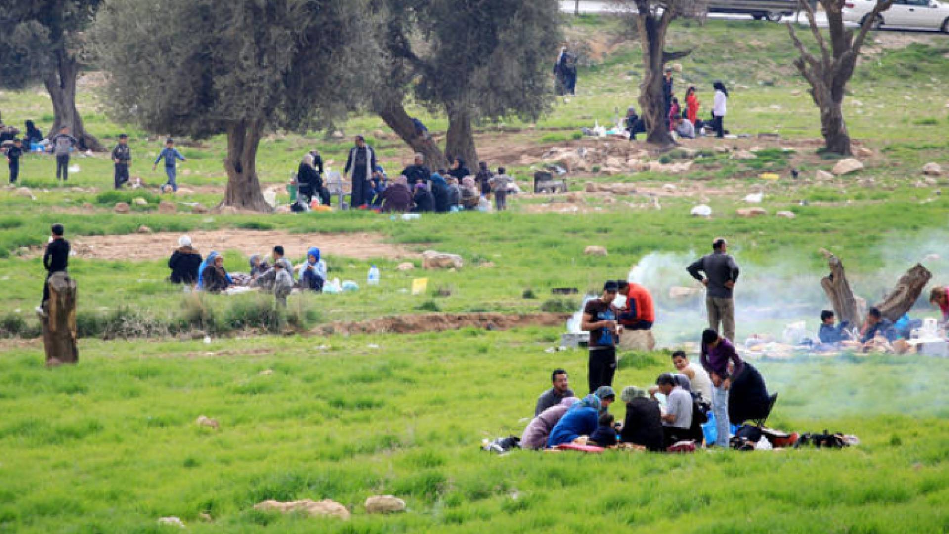 الصورة أرشيفية