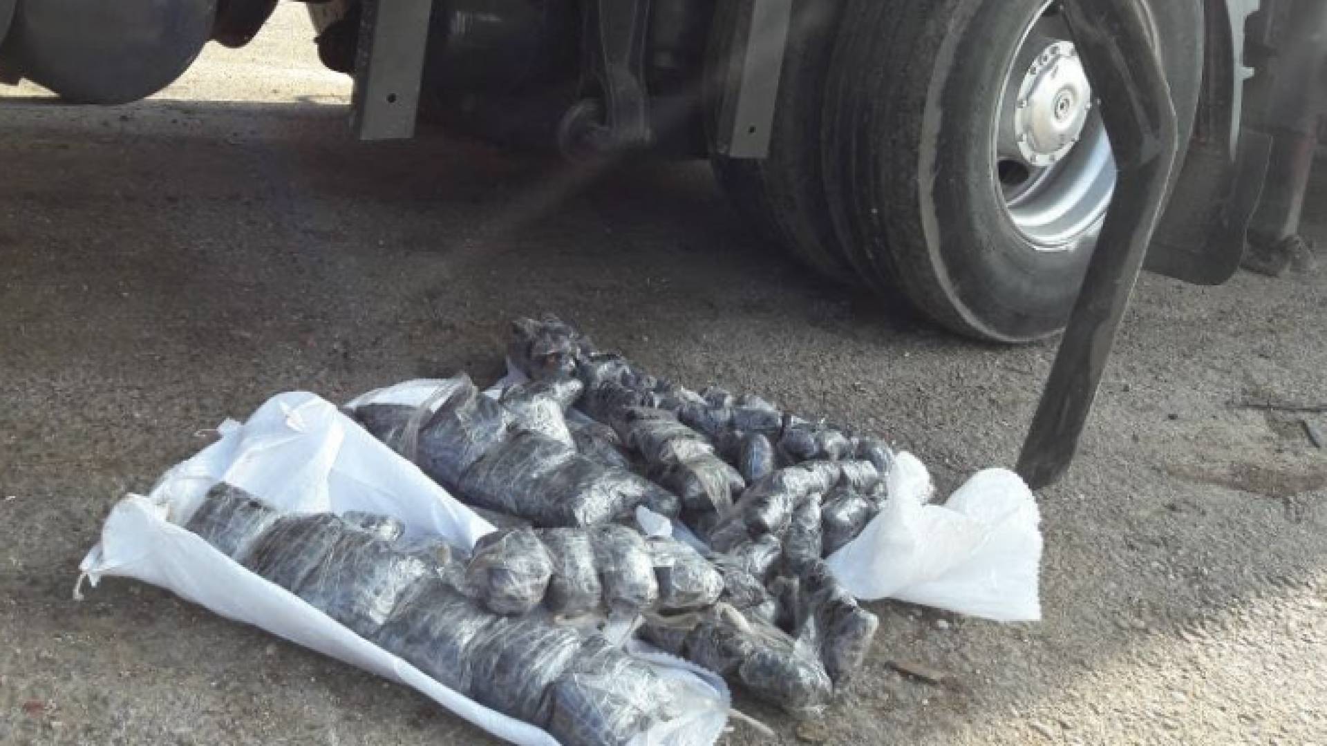 جانب من المضبوطات