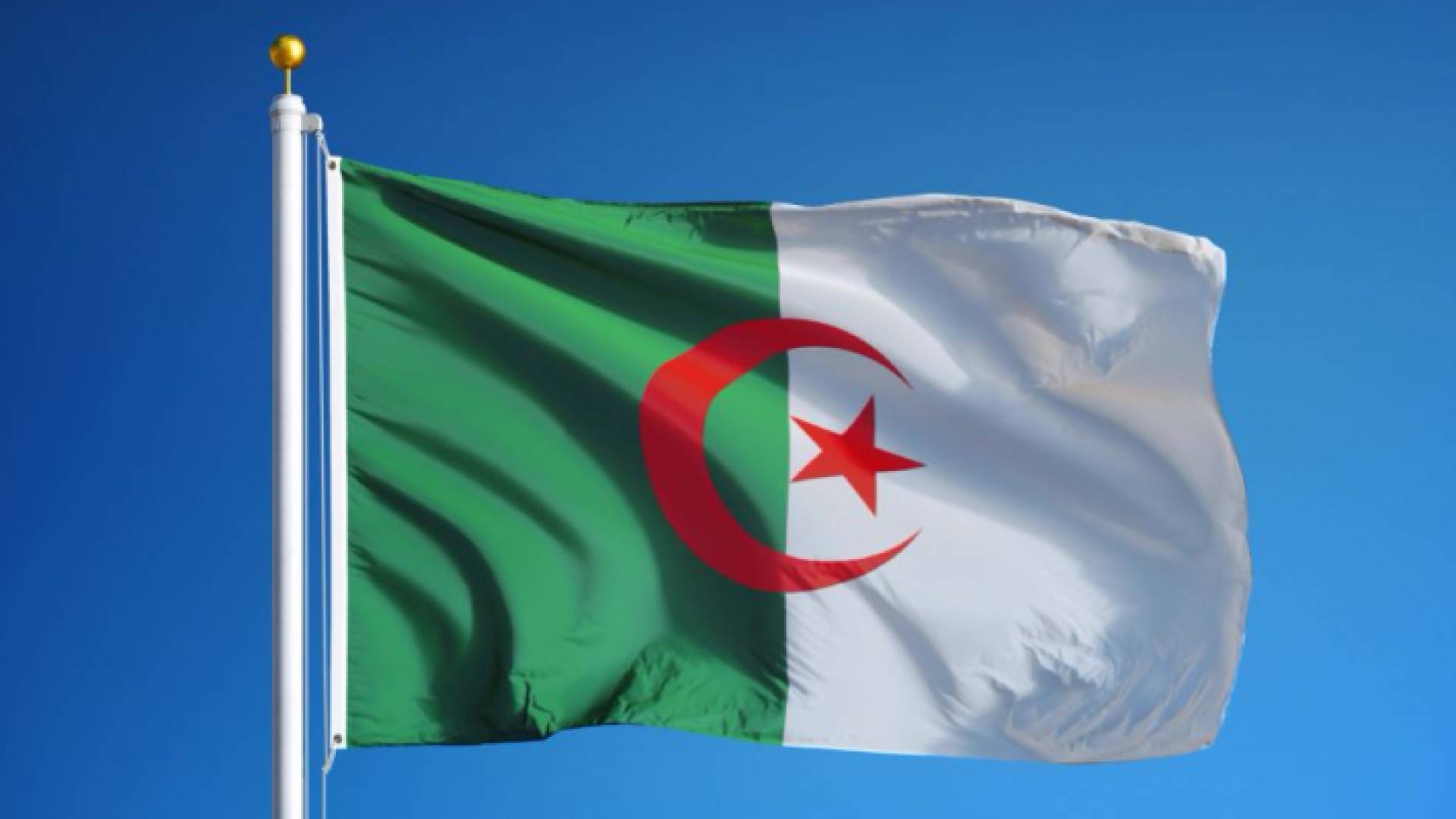 علم الجزائر