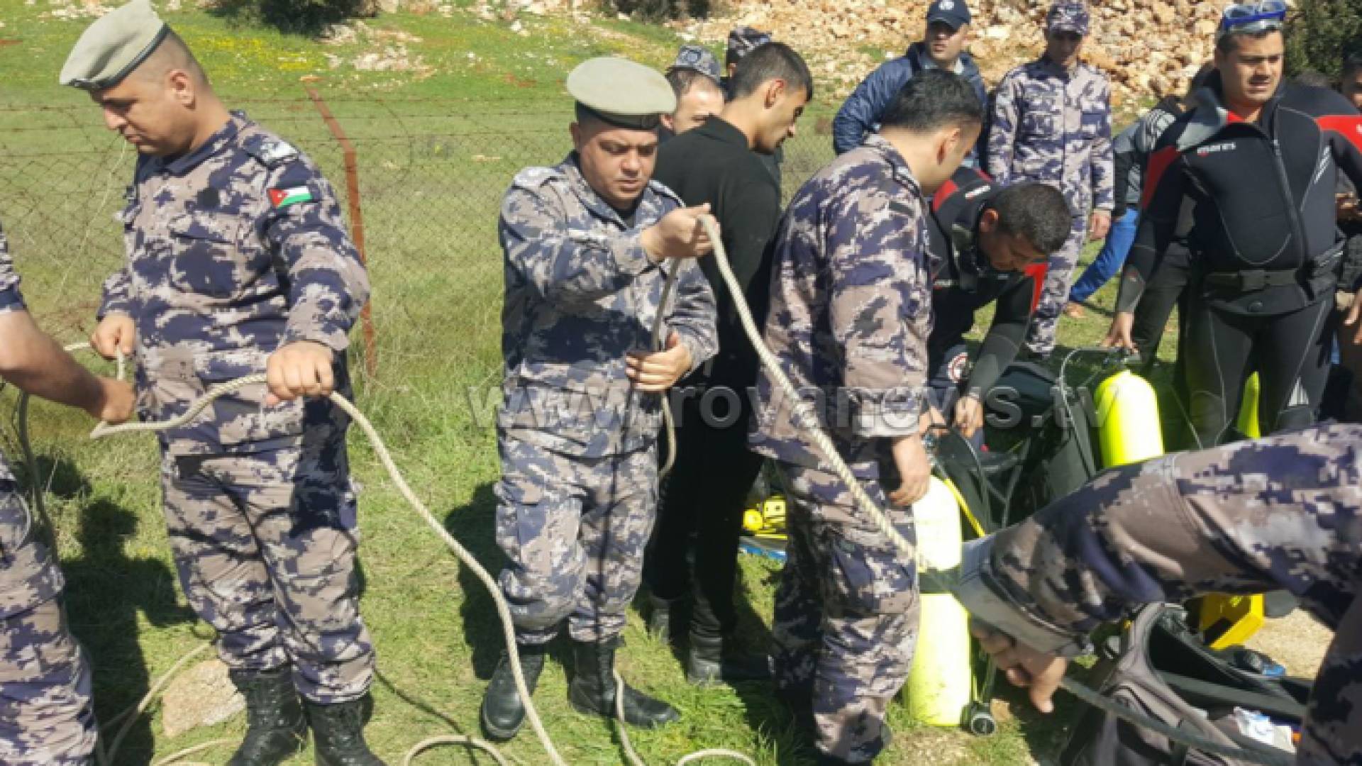 من عمليات البحث