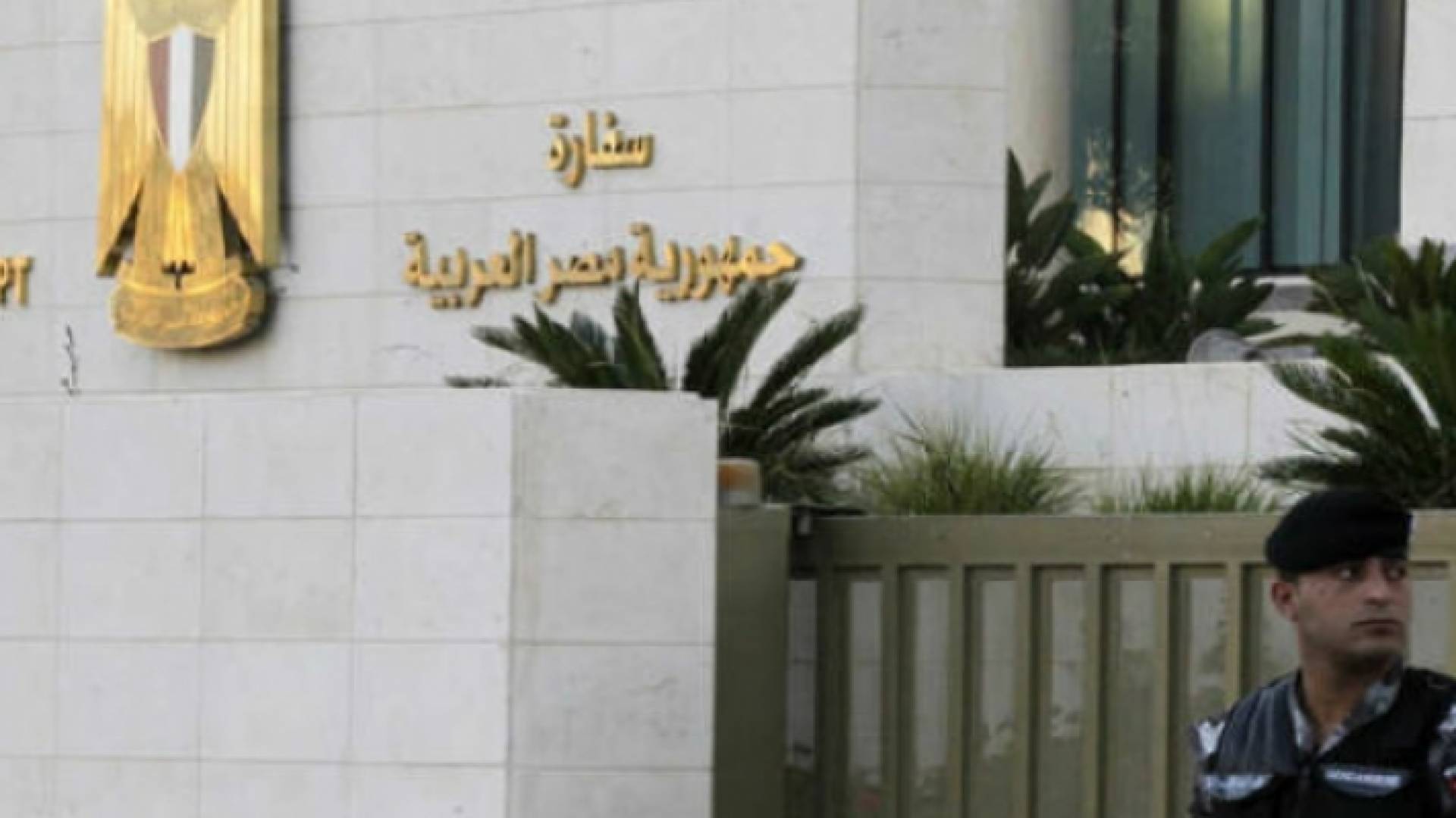 ارشيفية
