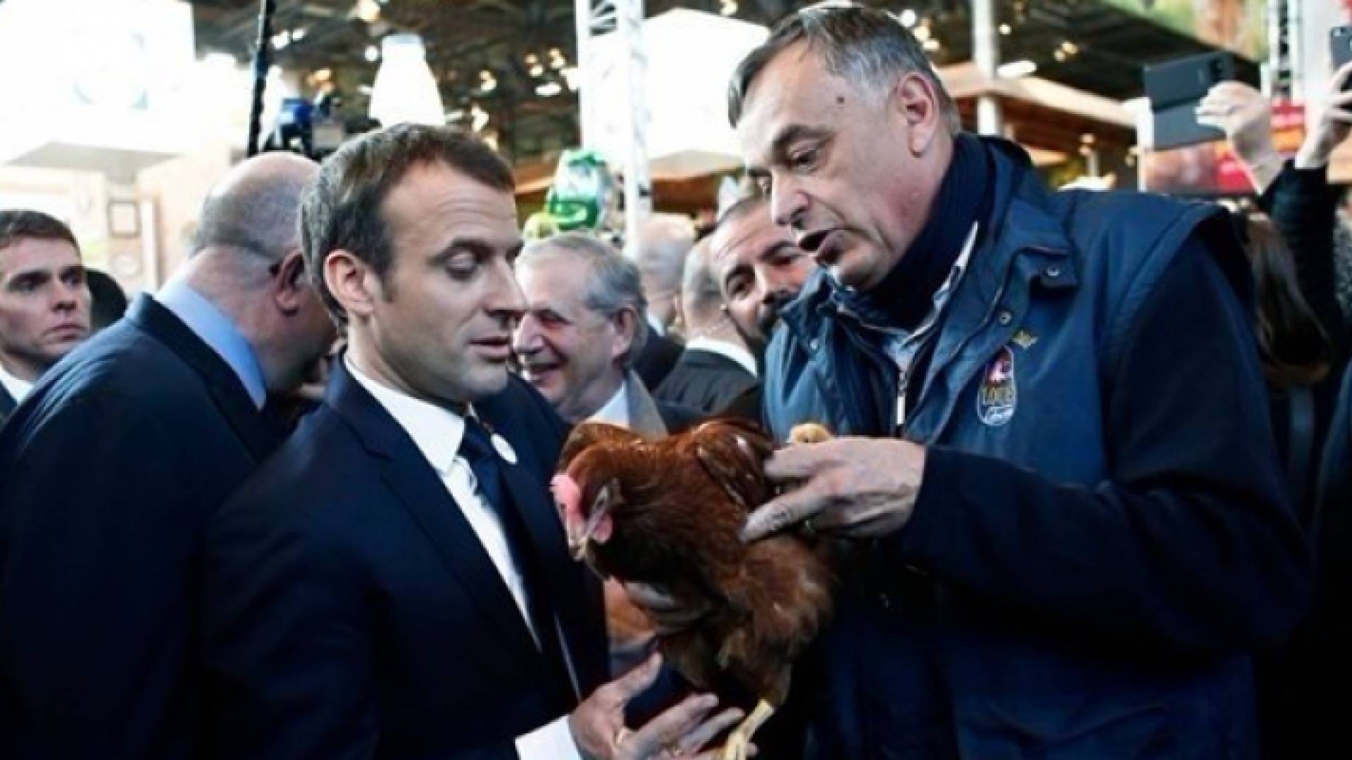 ماكرون يتبنى دجاجة في معرض الزراعة بباريس