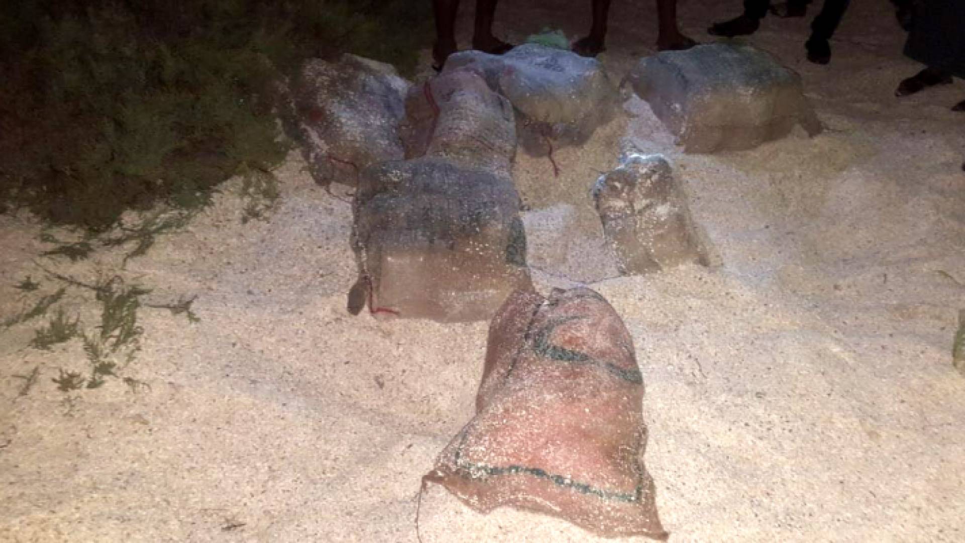 السعودية تحبط دخول طن ونصف من المخدرات