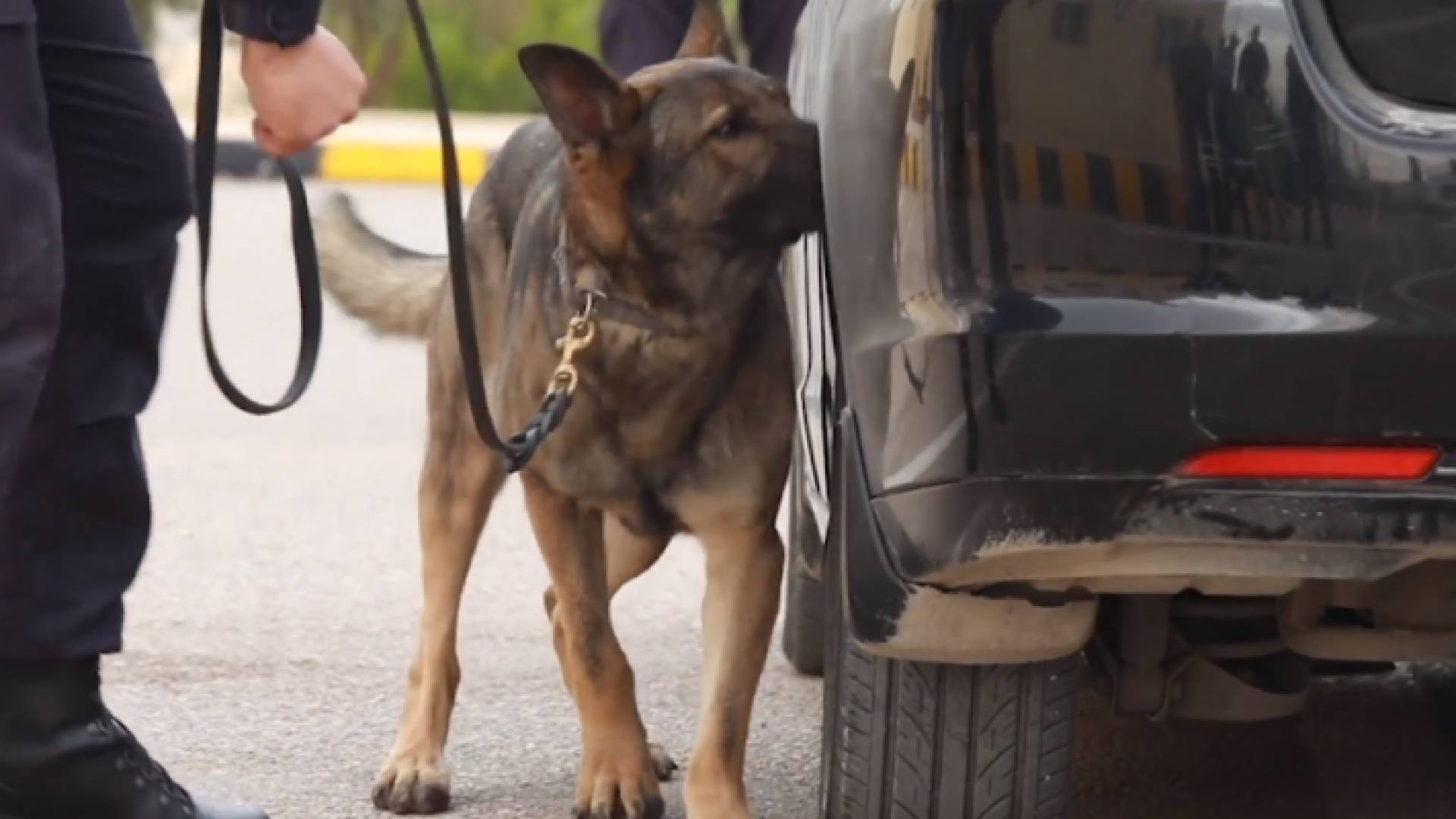 الصورة من الفيديو