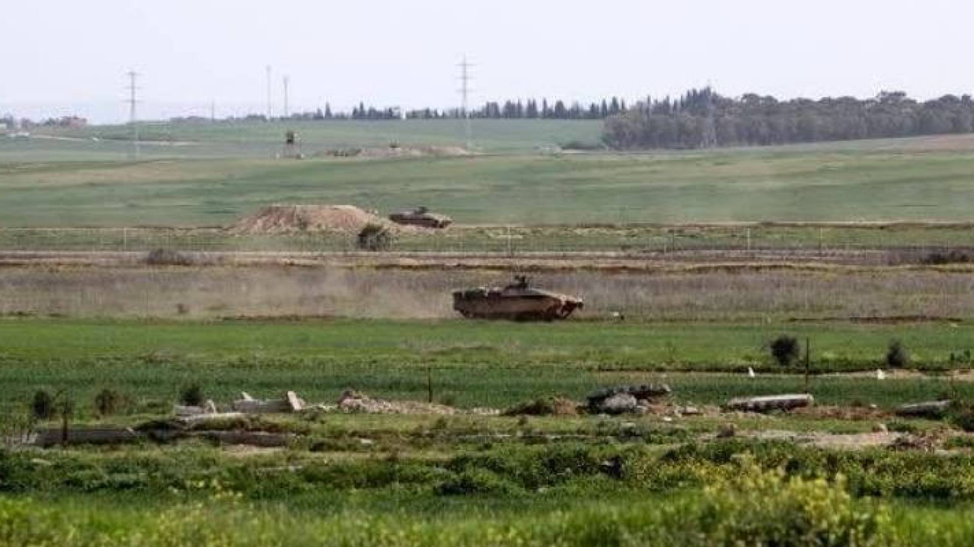 ارشيفية