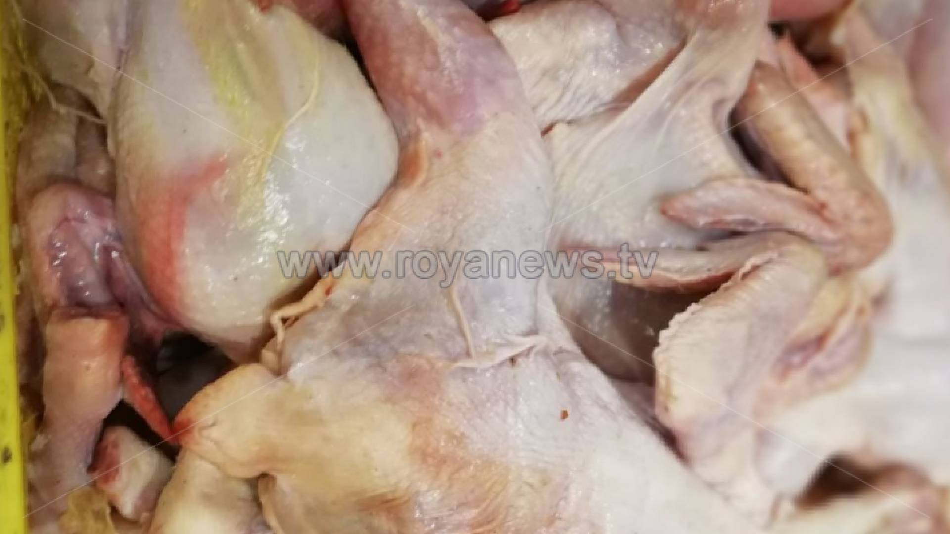 إتلاف 100 كغم دجاج