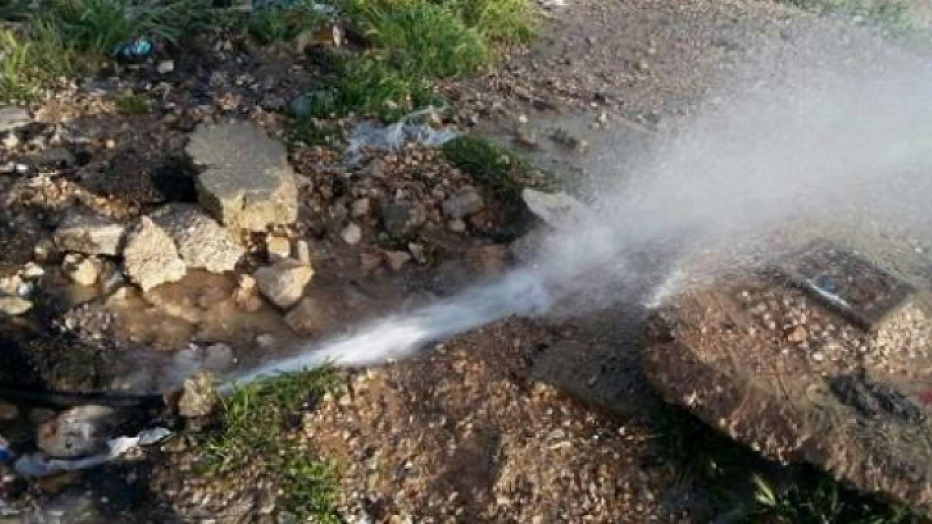 ارشيفية