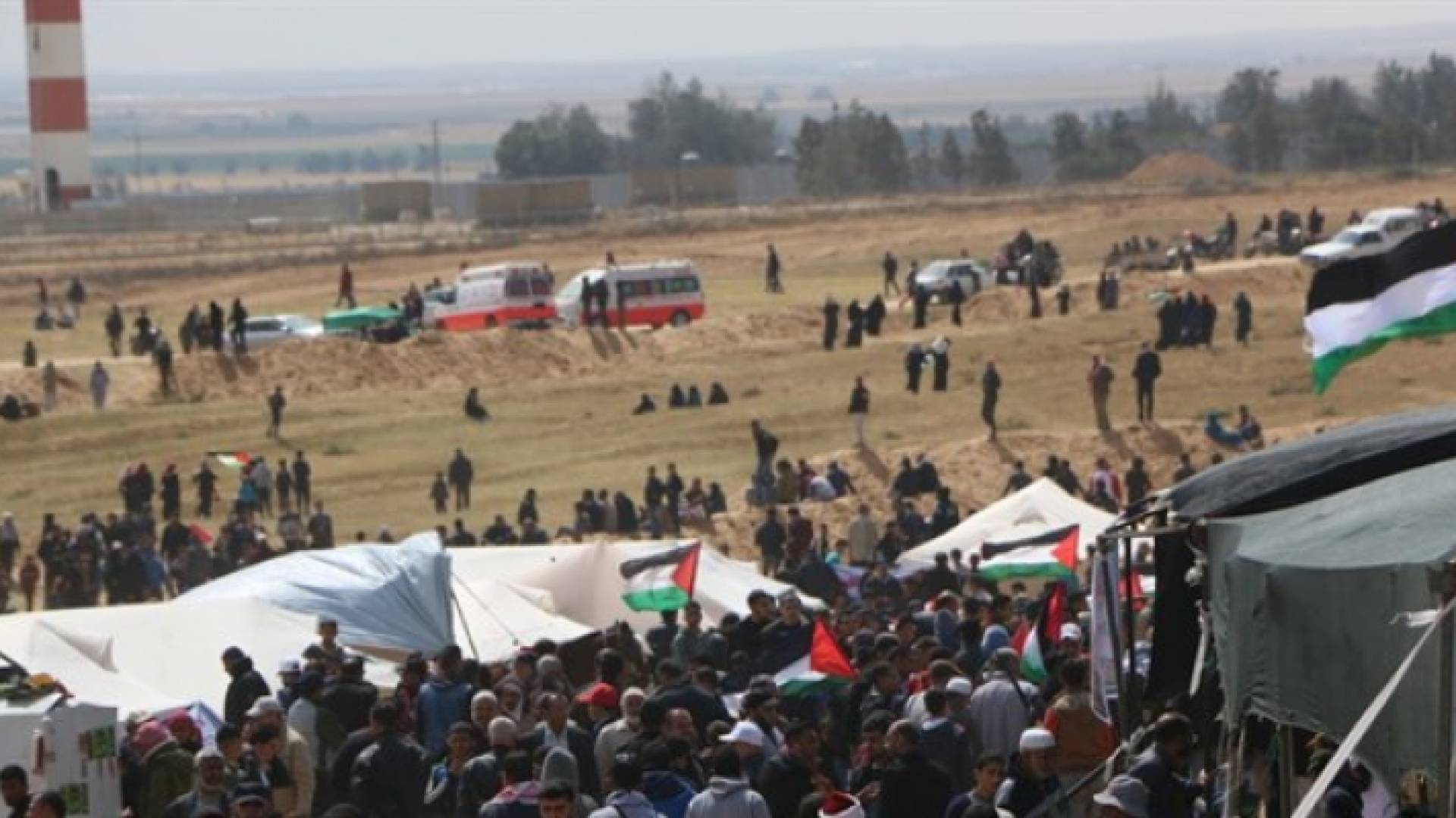 من مسيرة يوم الأرض