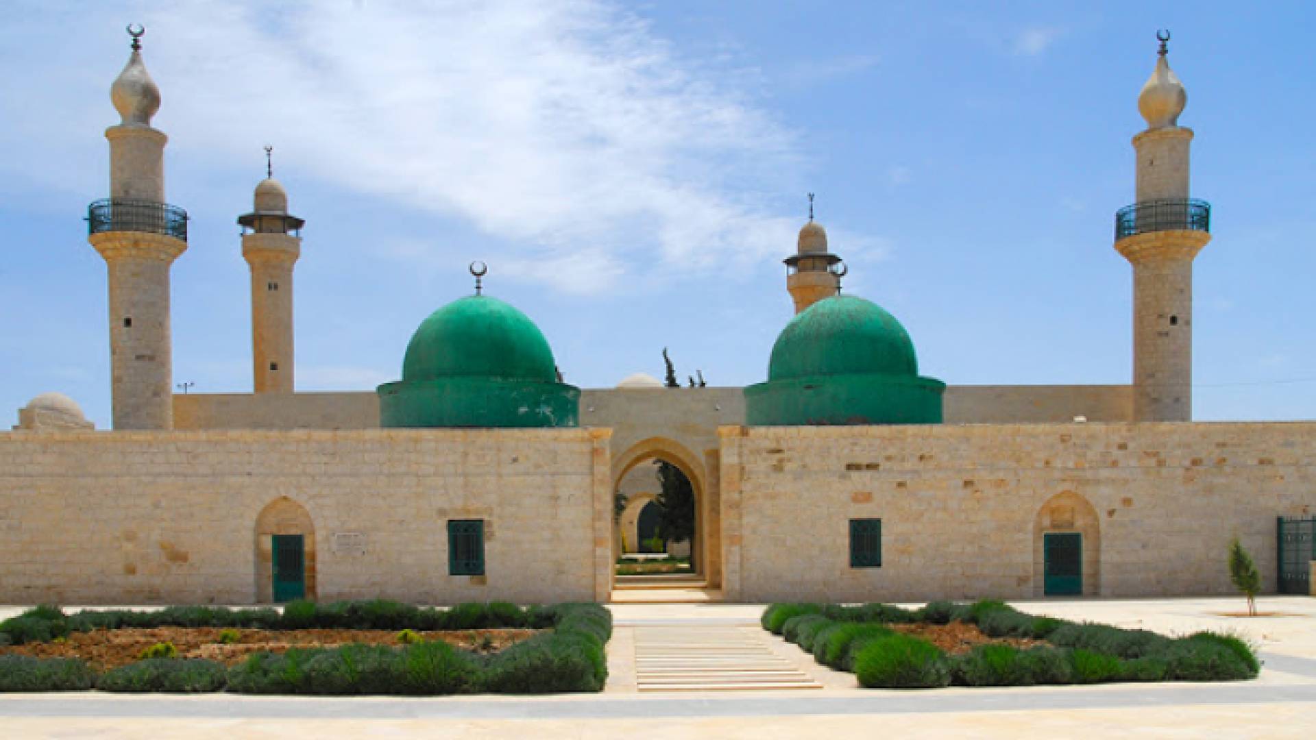 ارشيفية