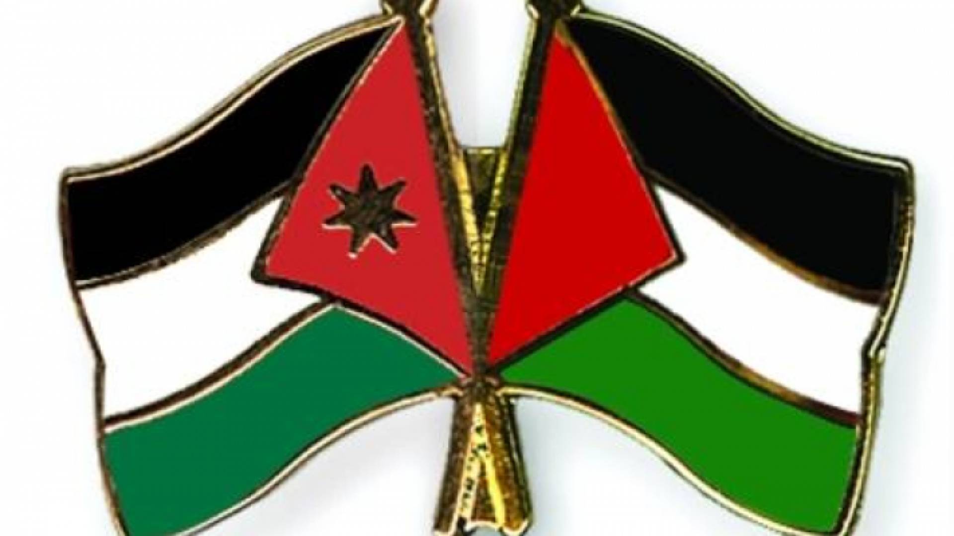 ارشيفية