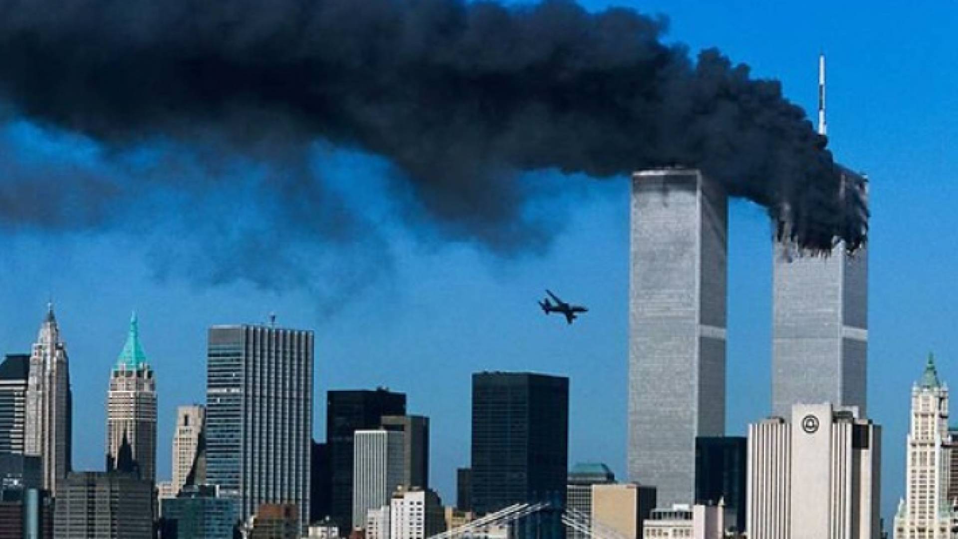ارشيفية
