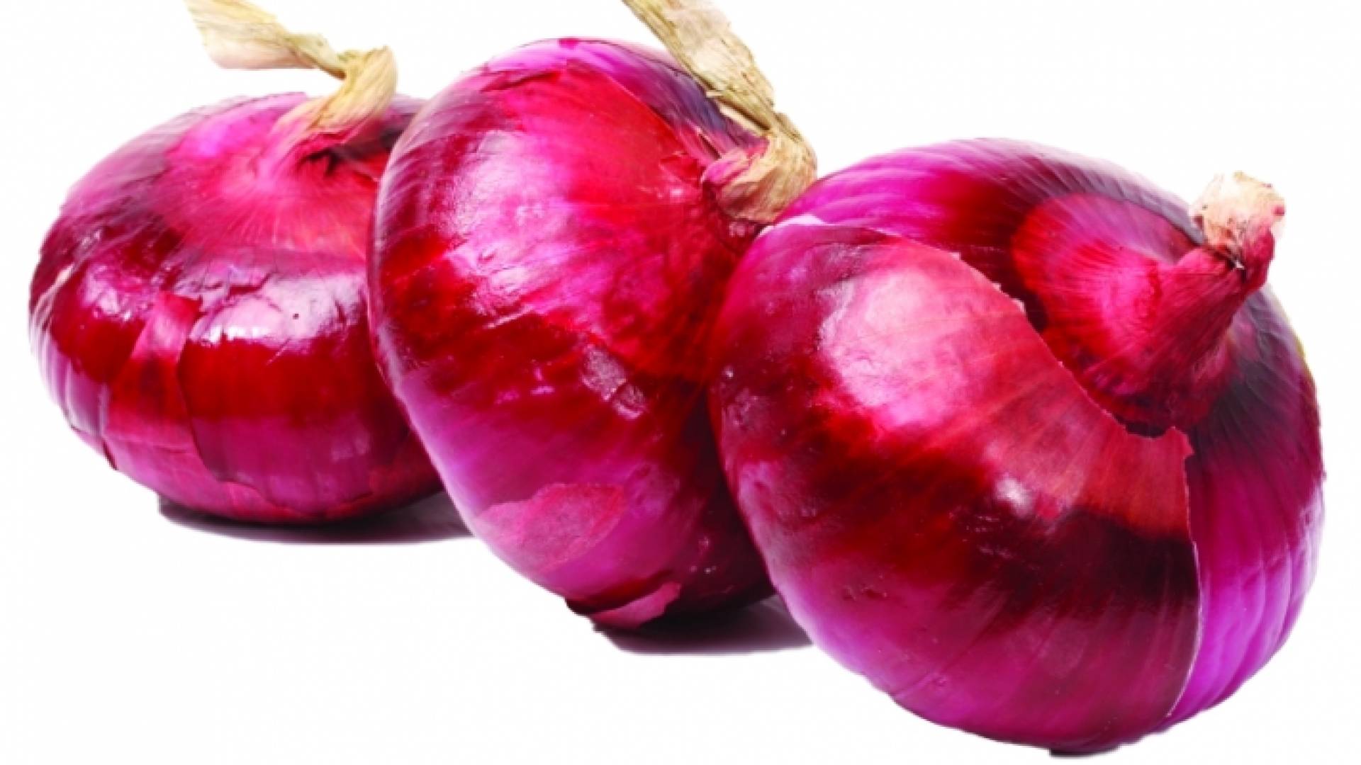 بصل - تعبيرية