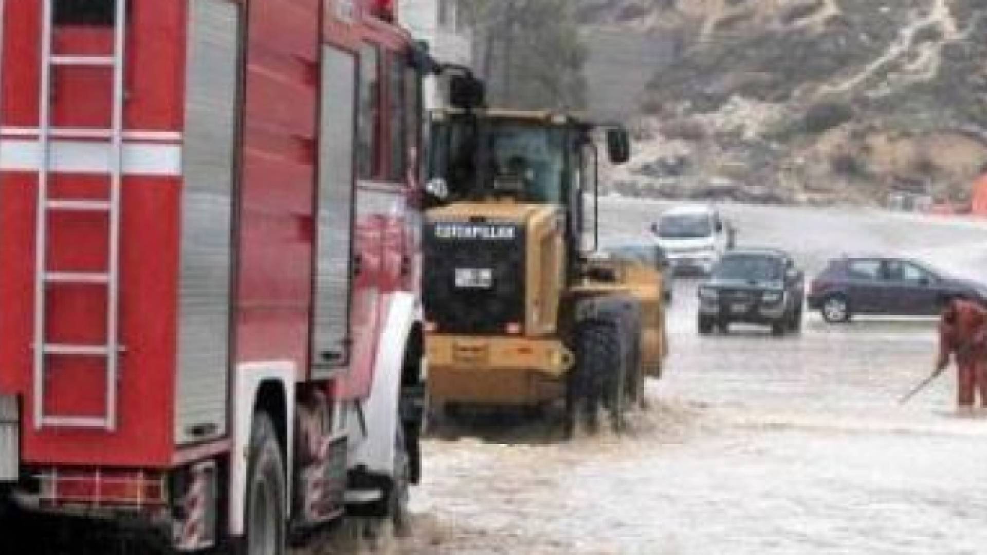 ارشيفية