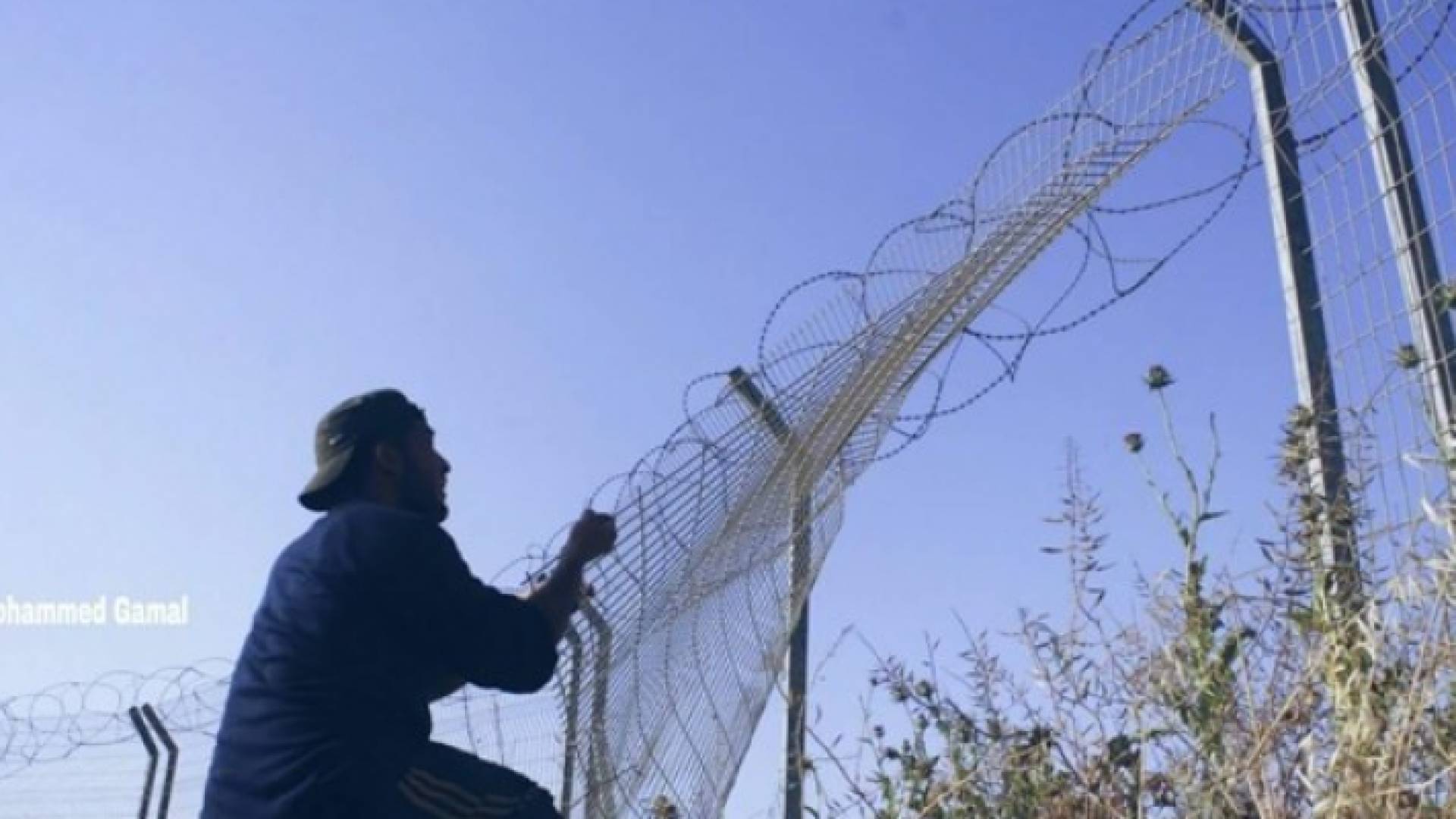 الصور من وسائل اعلام فلسطينية