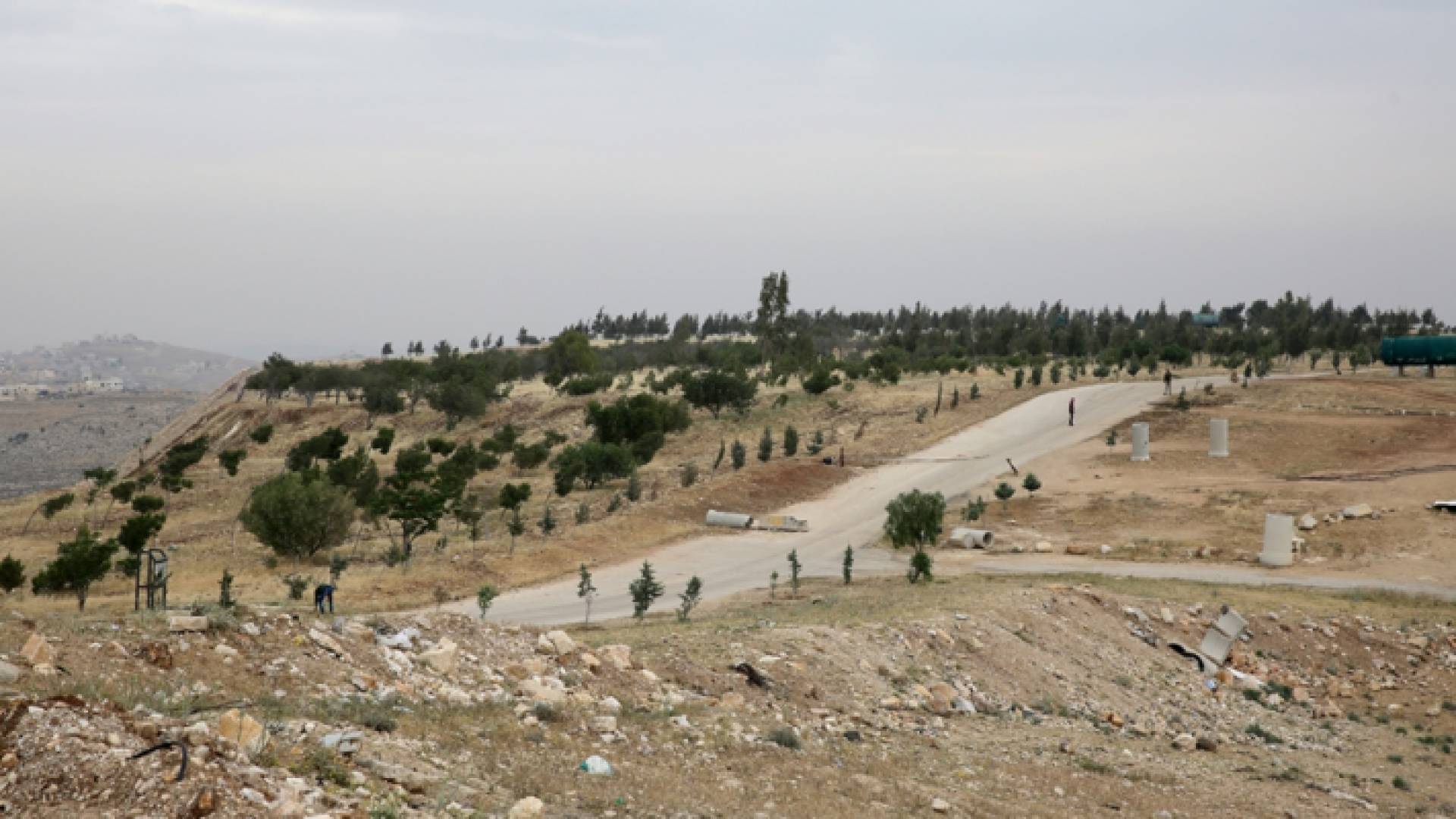 الشواربة يؤكد سعي الأمانة لتعزيز المساحات الخضراء شرق العاصمة