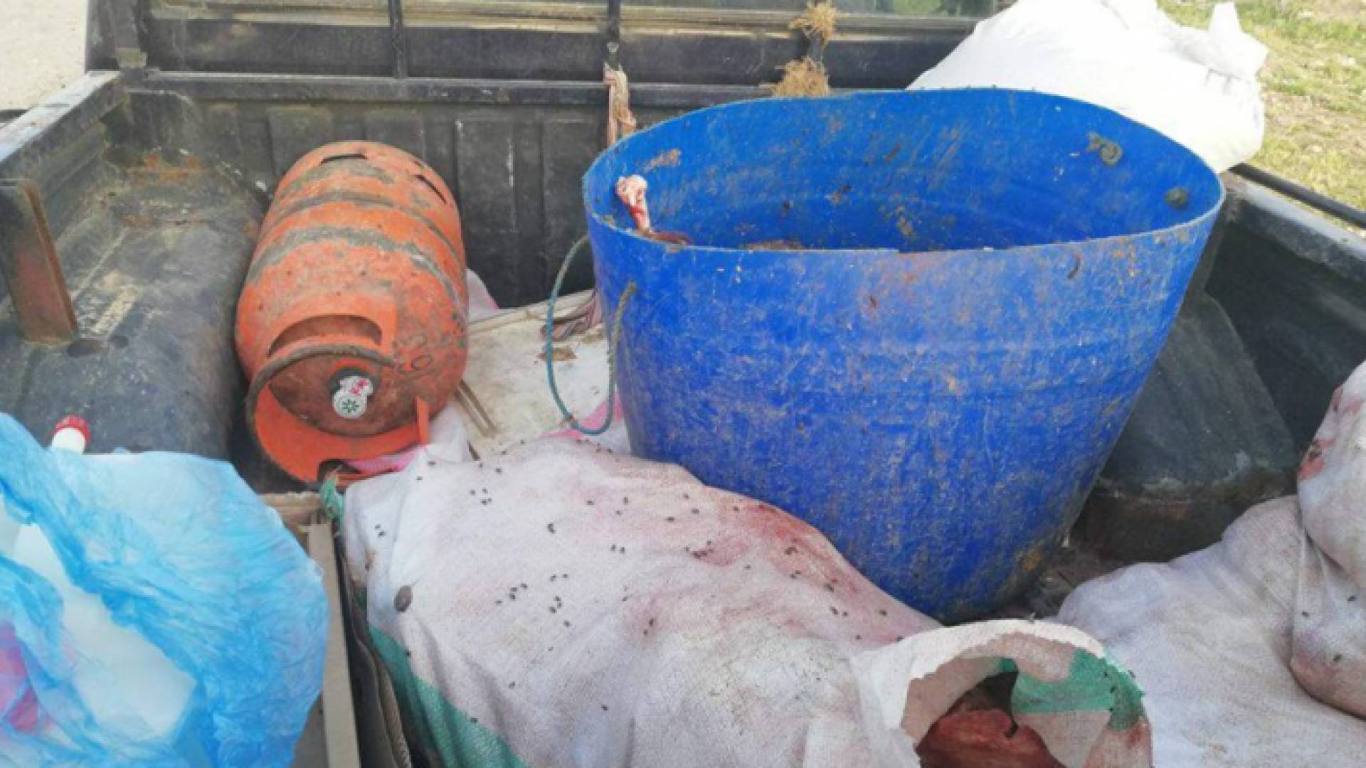 ضبط مركبة تنقل رؤس الذبائح بطريقة غير صحية في اربد