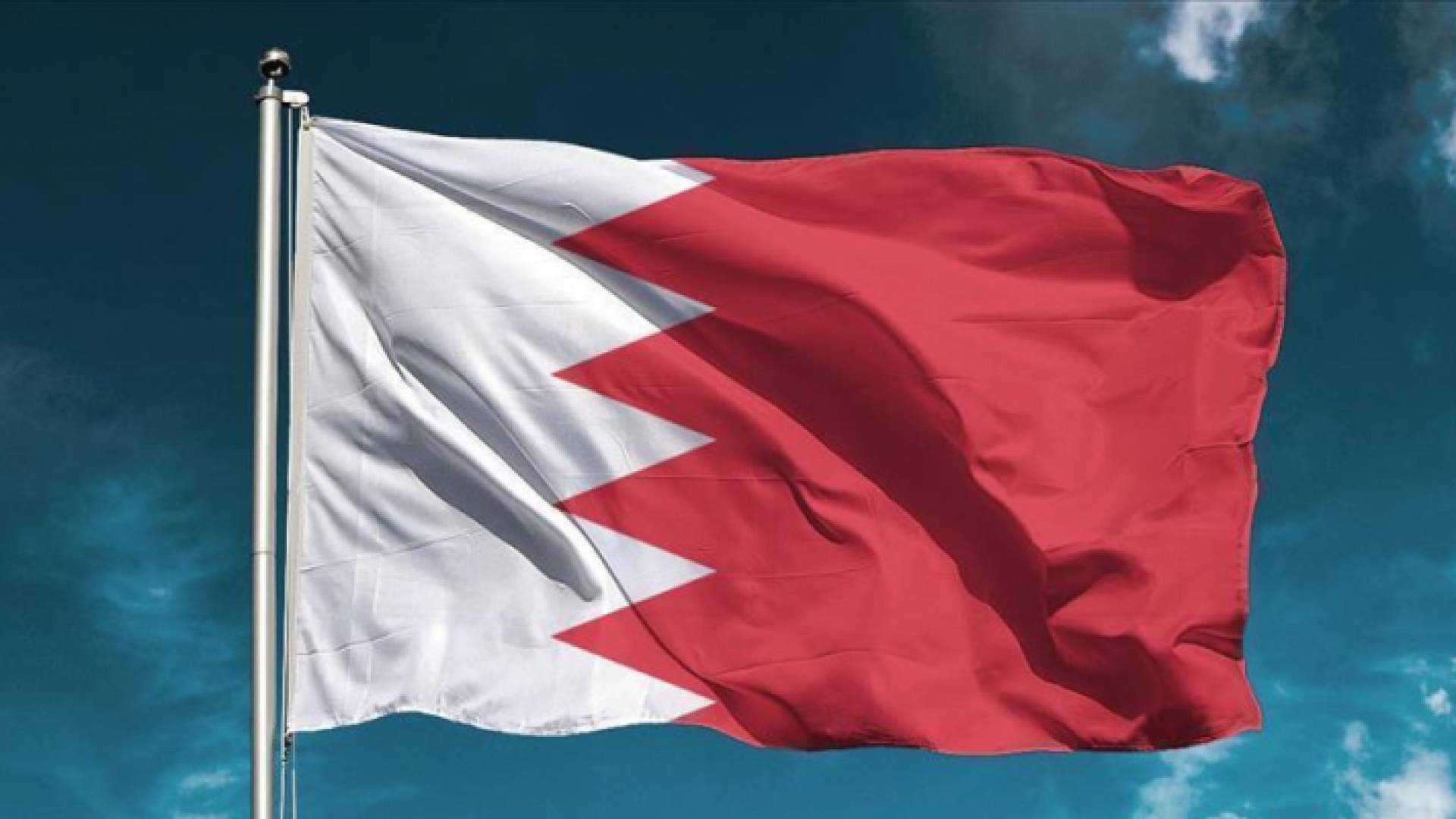 ارشيفية