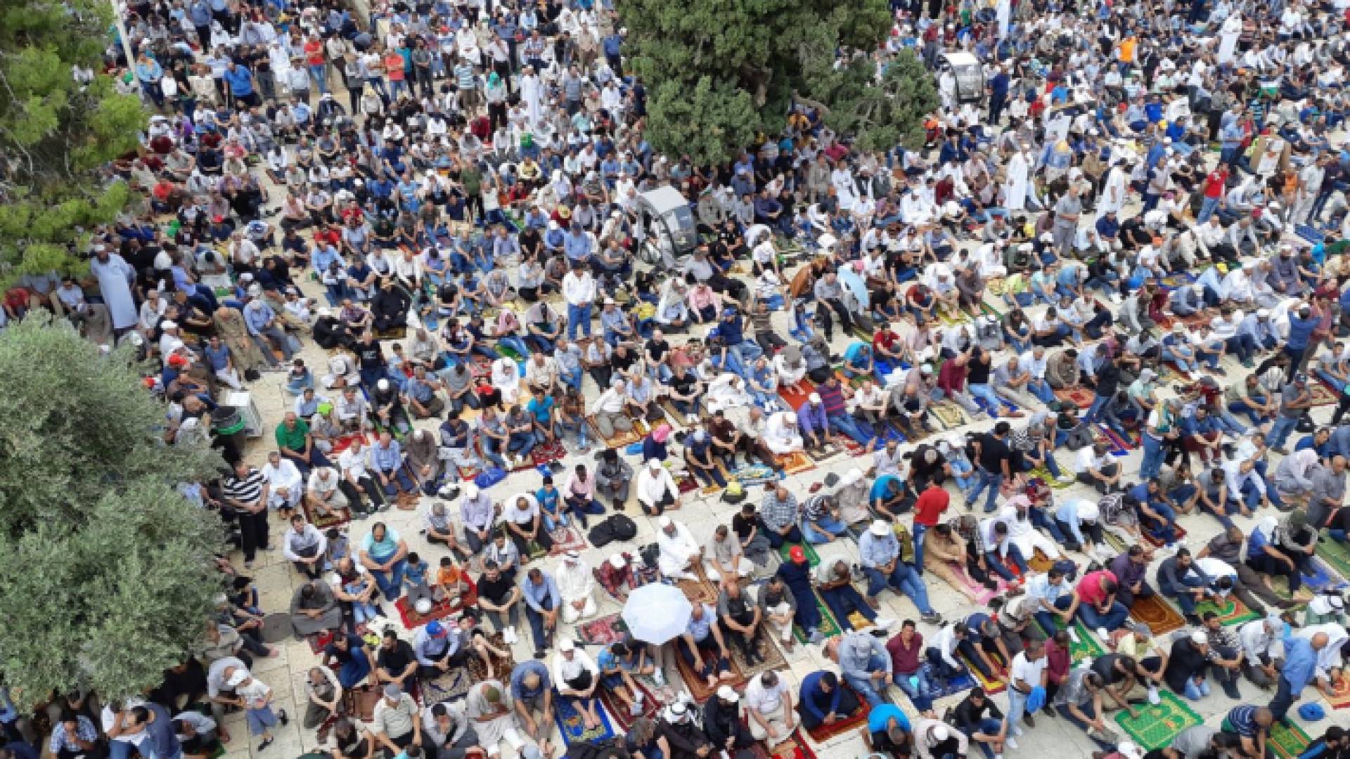 صورة من صلاة الجمعة في الاقصى