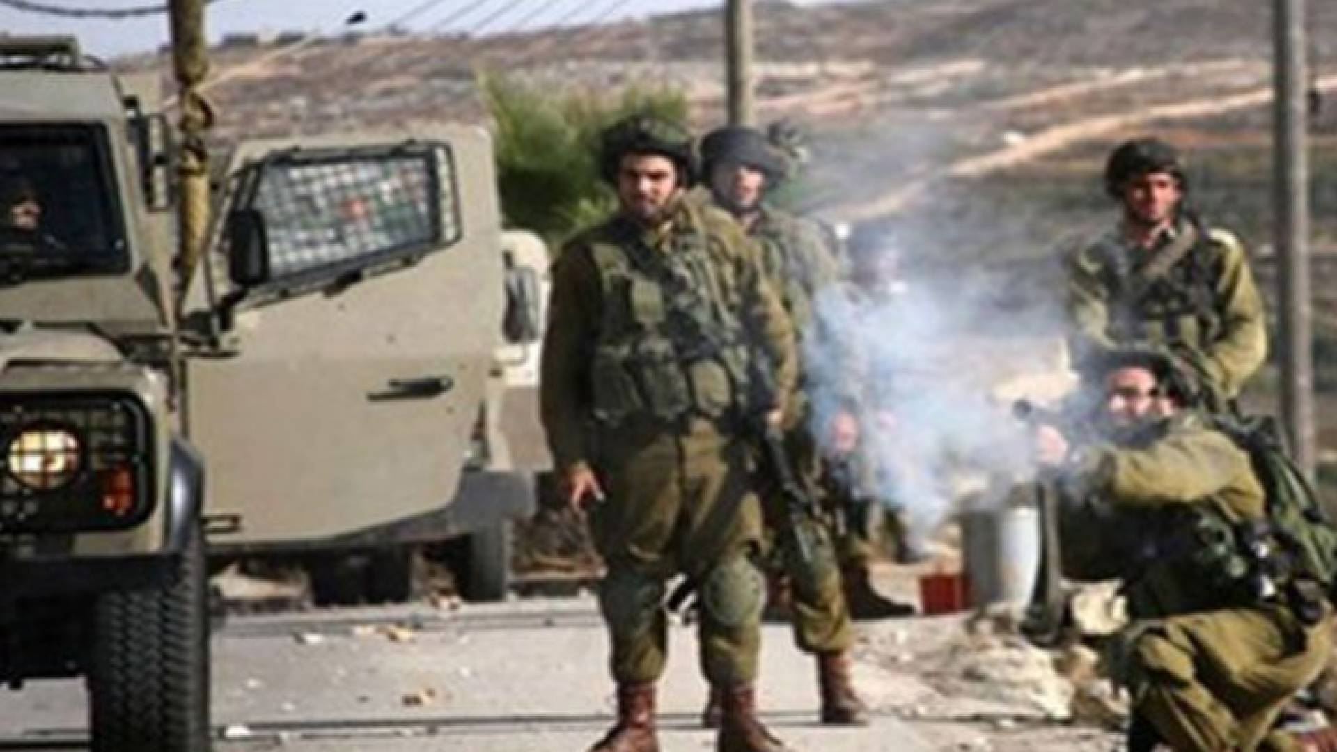 ارشيفية