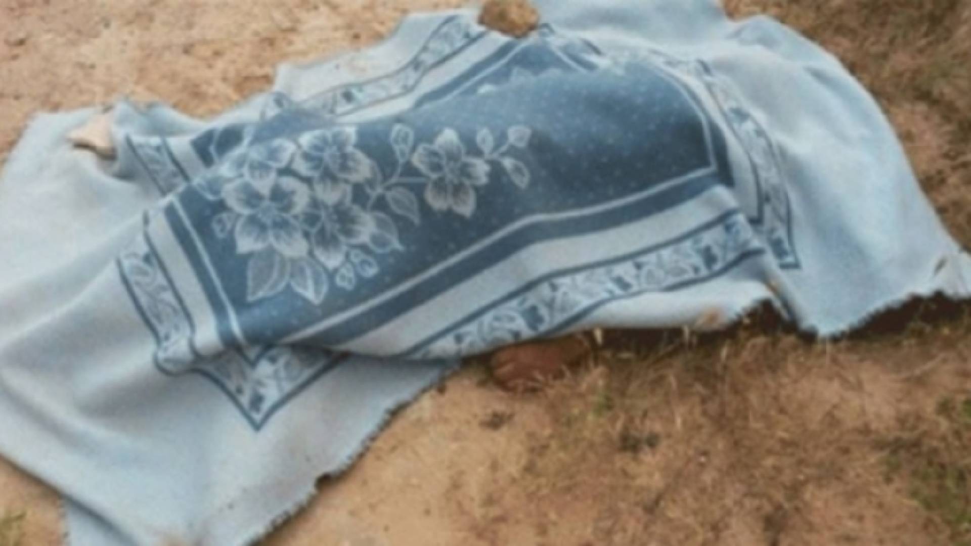 ارشيفية