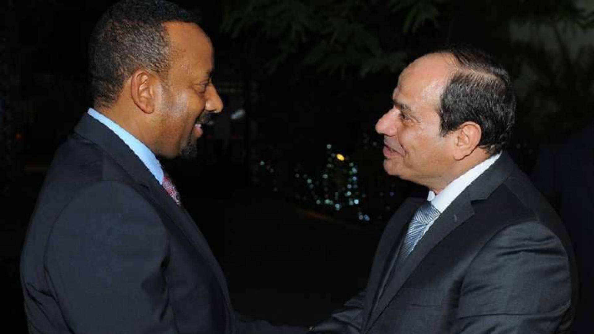 السيسي خلال لقائه رئيس الحكومة الإثيوبية