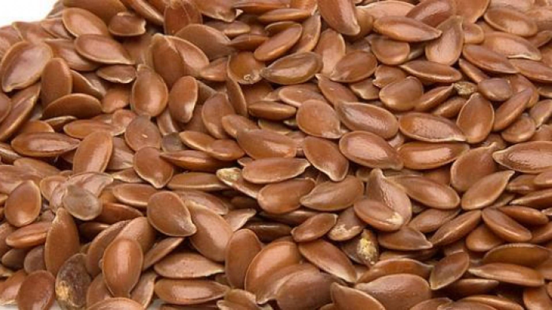 بذور الرشاد