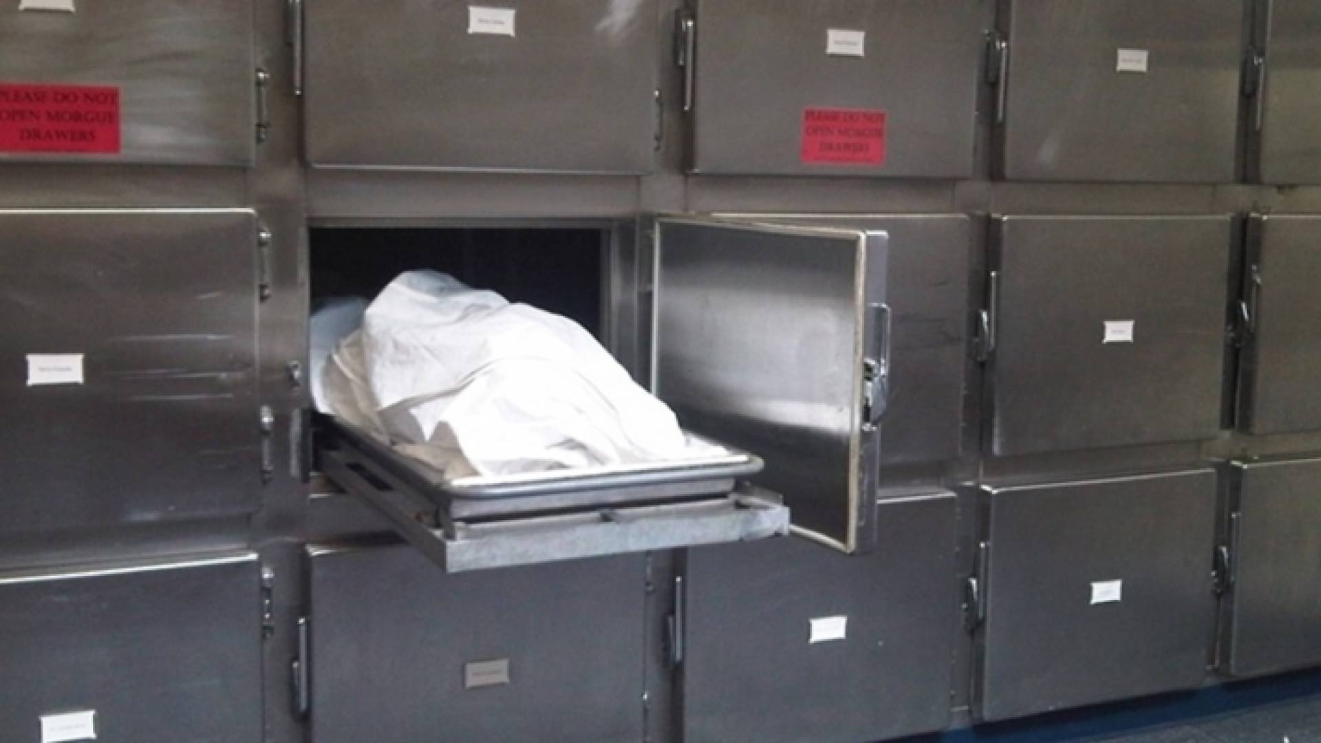 الصورة تعبيرية