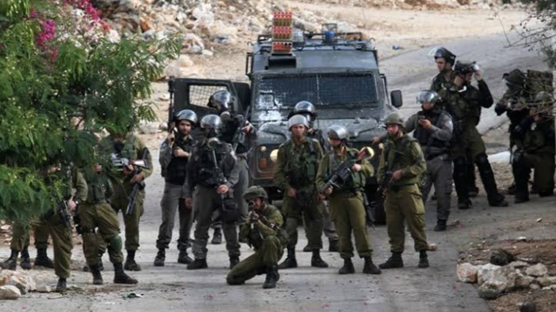 الصورة ارشيفية