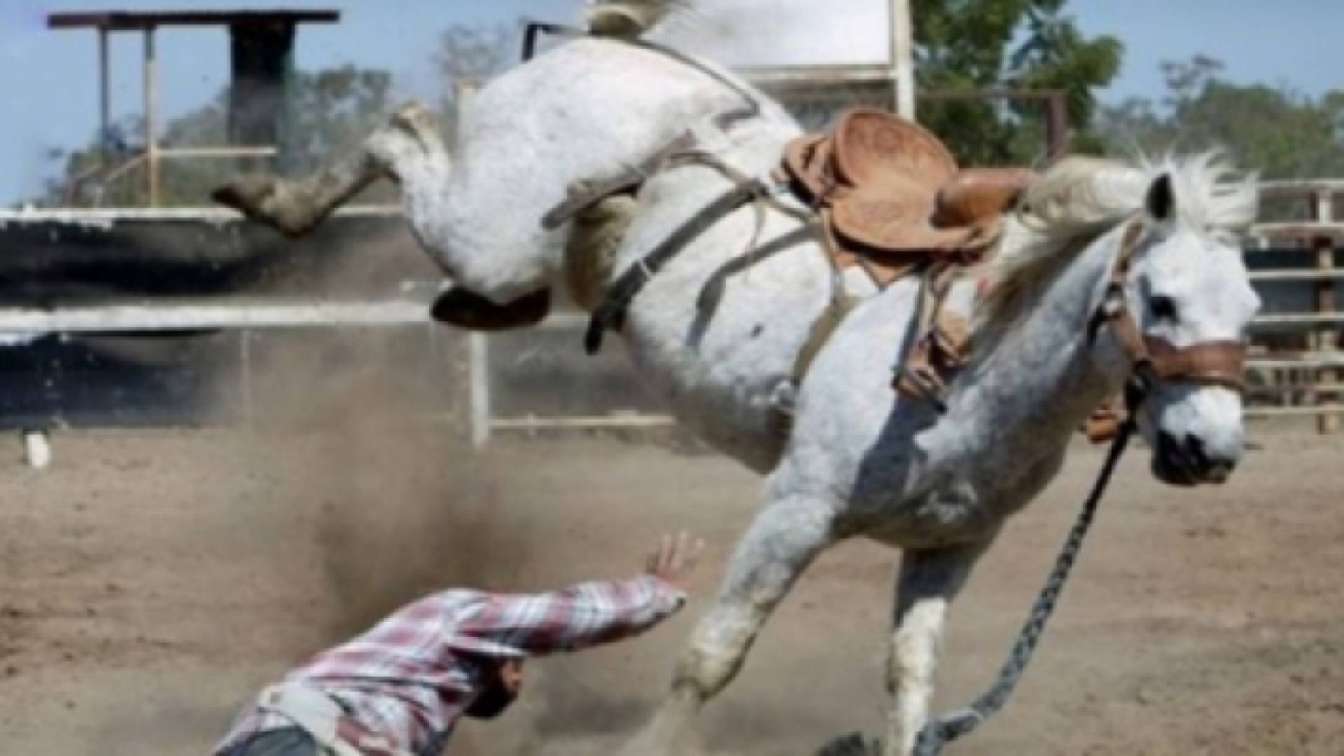 الصورة ارشيفية