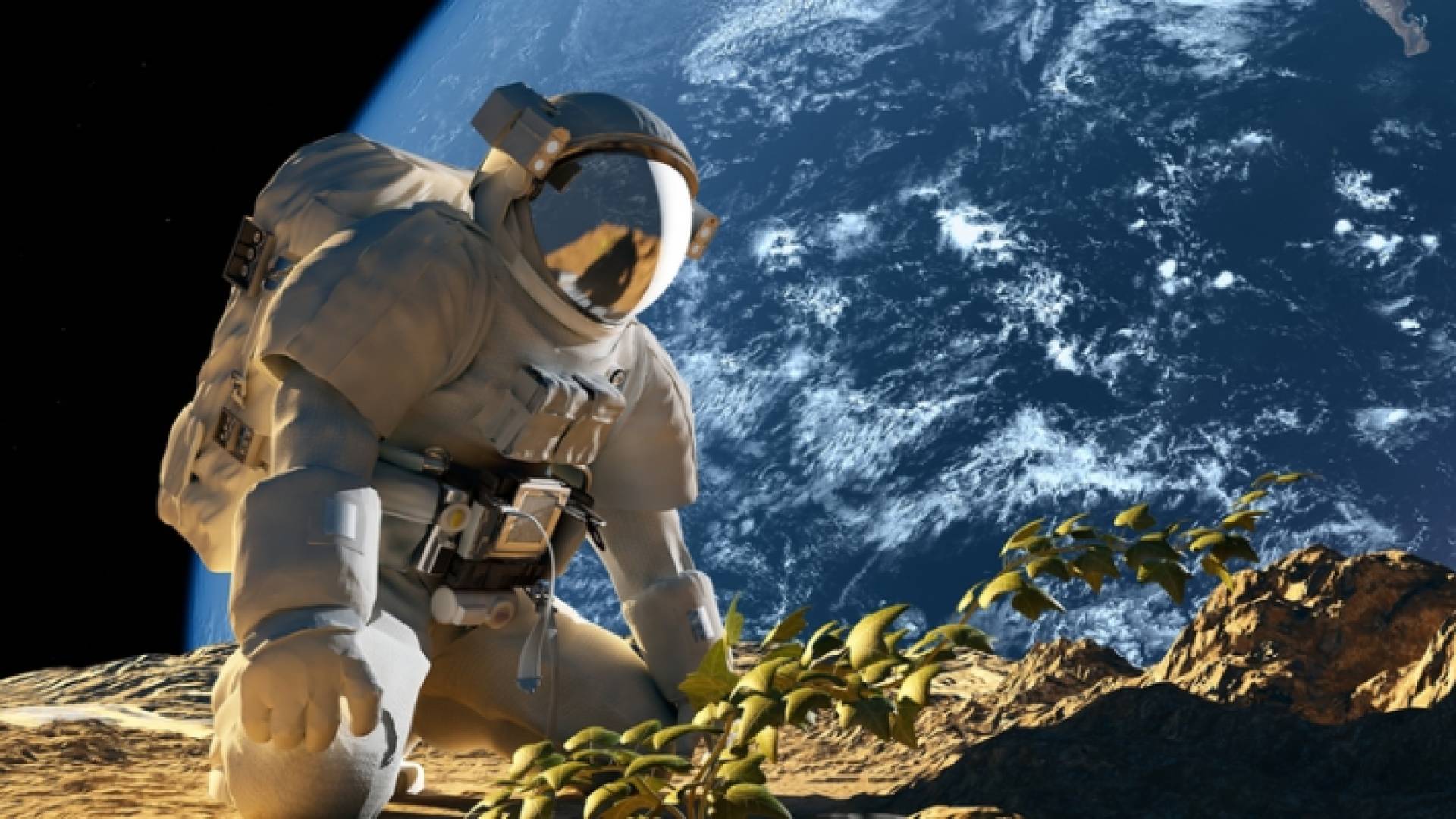 الصورة تعبيرية