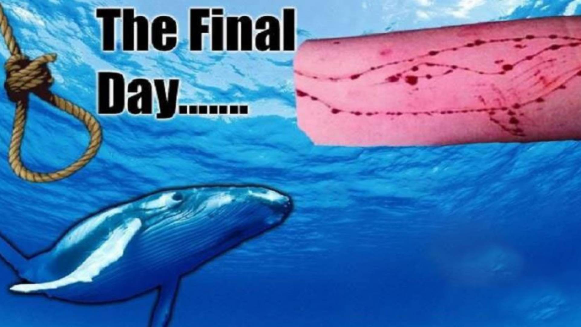 وزير الاتصالات العمل جار على حجب لعبة الحوت الأزرق