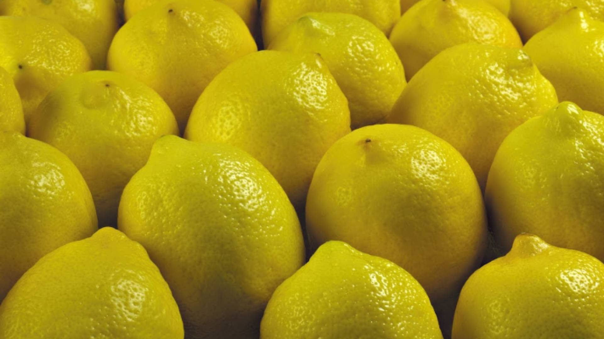 ارشيفية