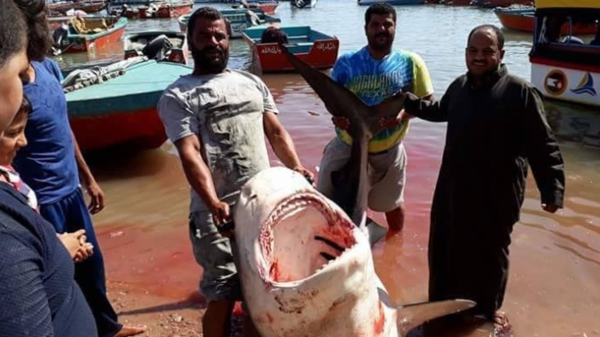 صورة متداولة عبر مواقع التواصل الاجتماعي