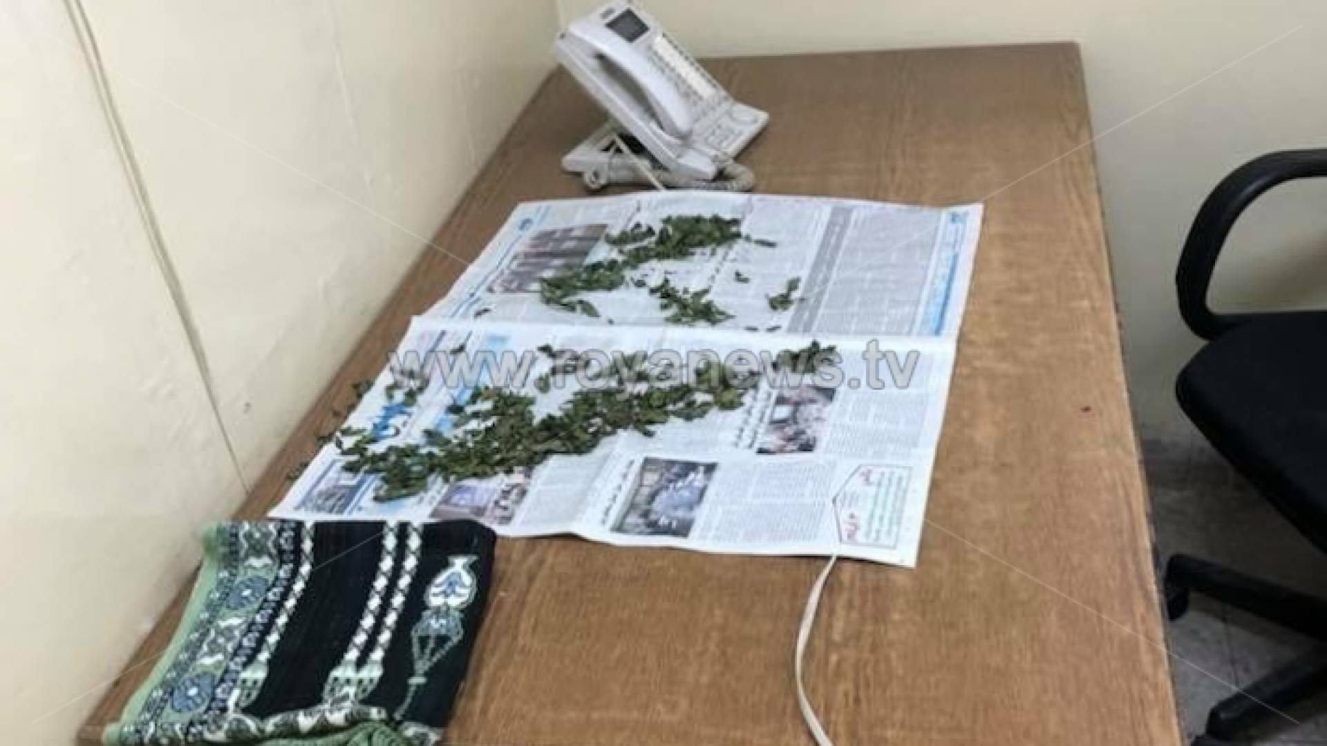 صورة لتجفيف الملوخية داخل المركز الصحي