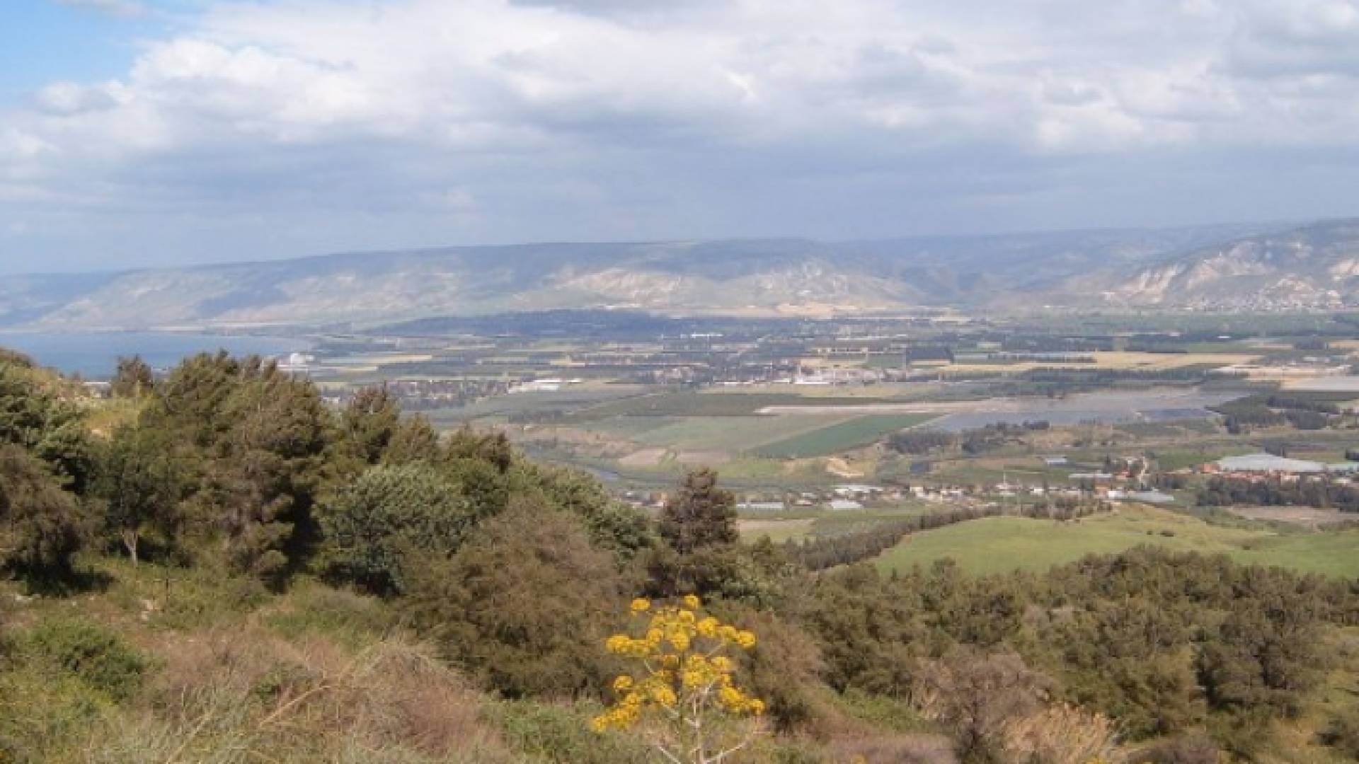 تعبيرية