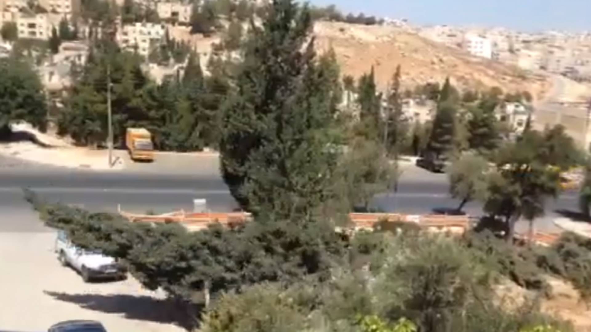 صورة من فيديو متداول على مواقع التواصل الاجتماعي لقطع الاشجار بمنطقة أبو نصير