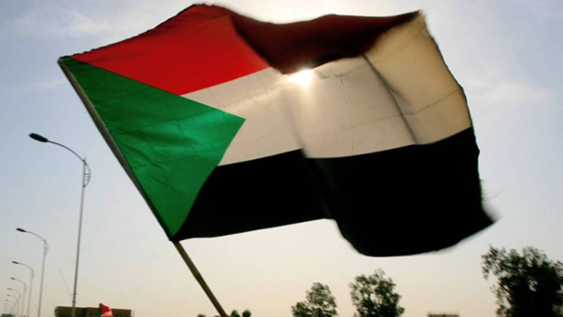 ارشيفية