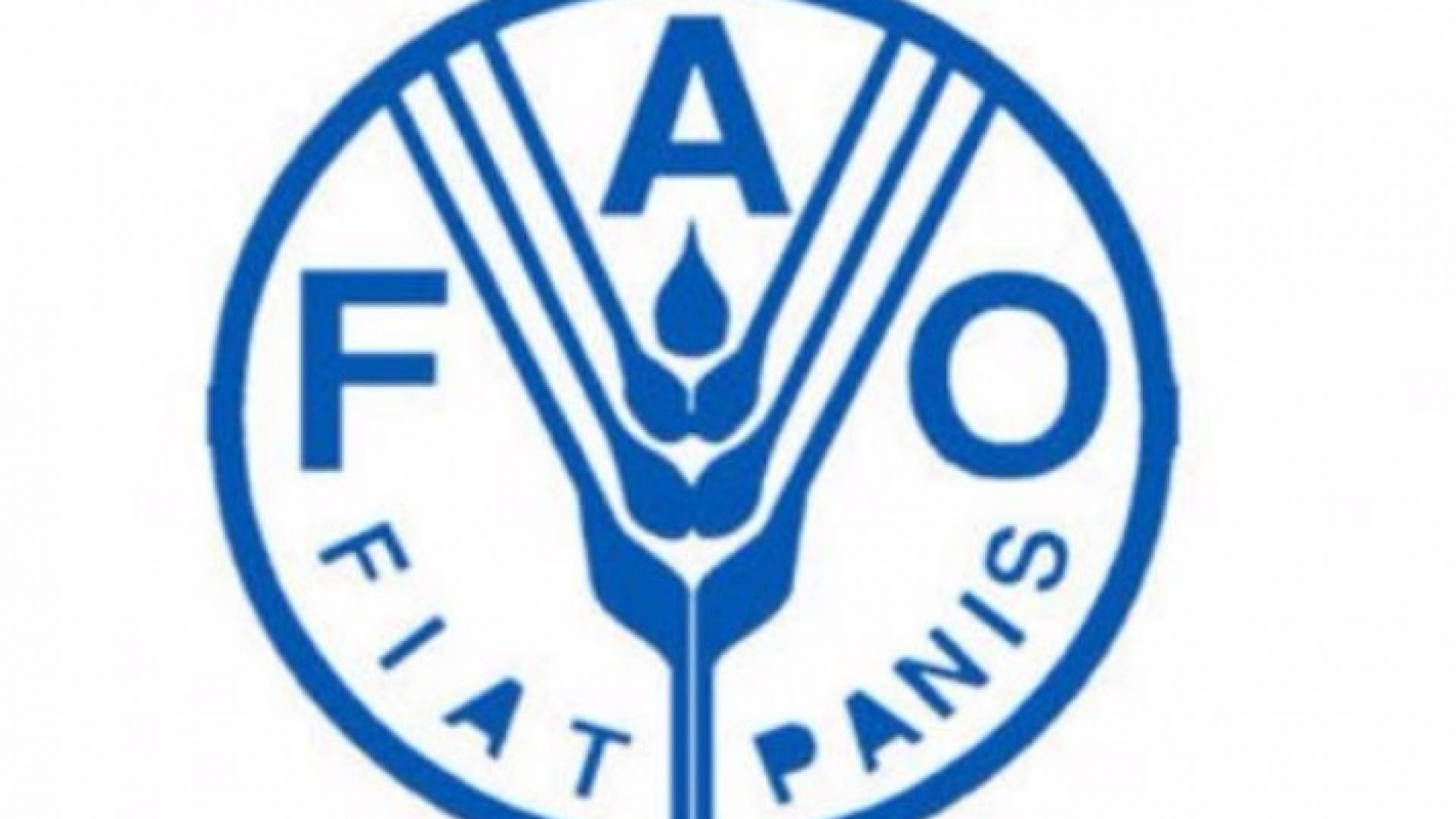 التوترات التجارية العالمية تدفع أسعار الغذاء إلى الانخفاض