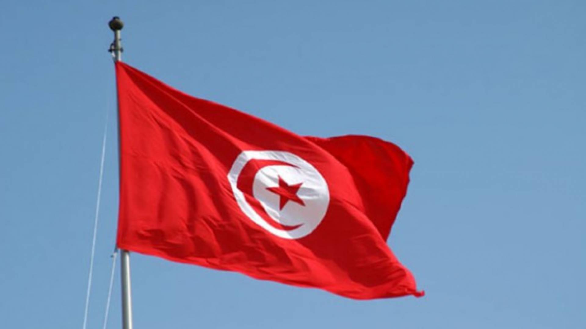 العلم التونسي