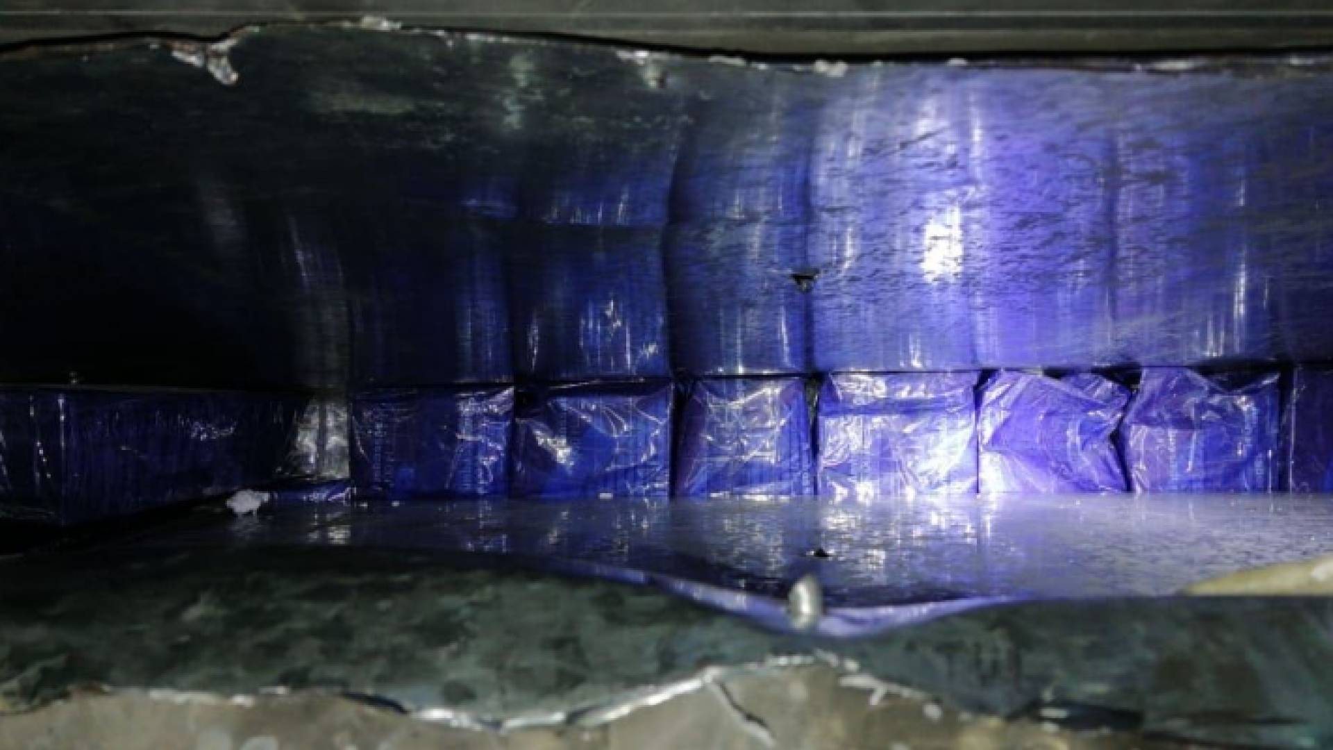 جانب من المضبوطات