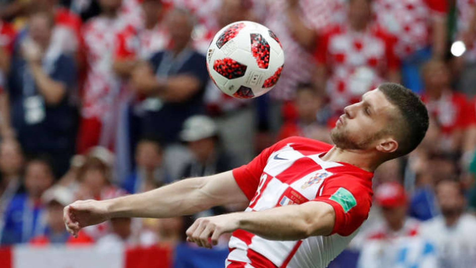 أنتي ريبيتش